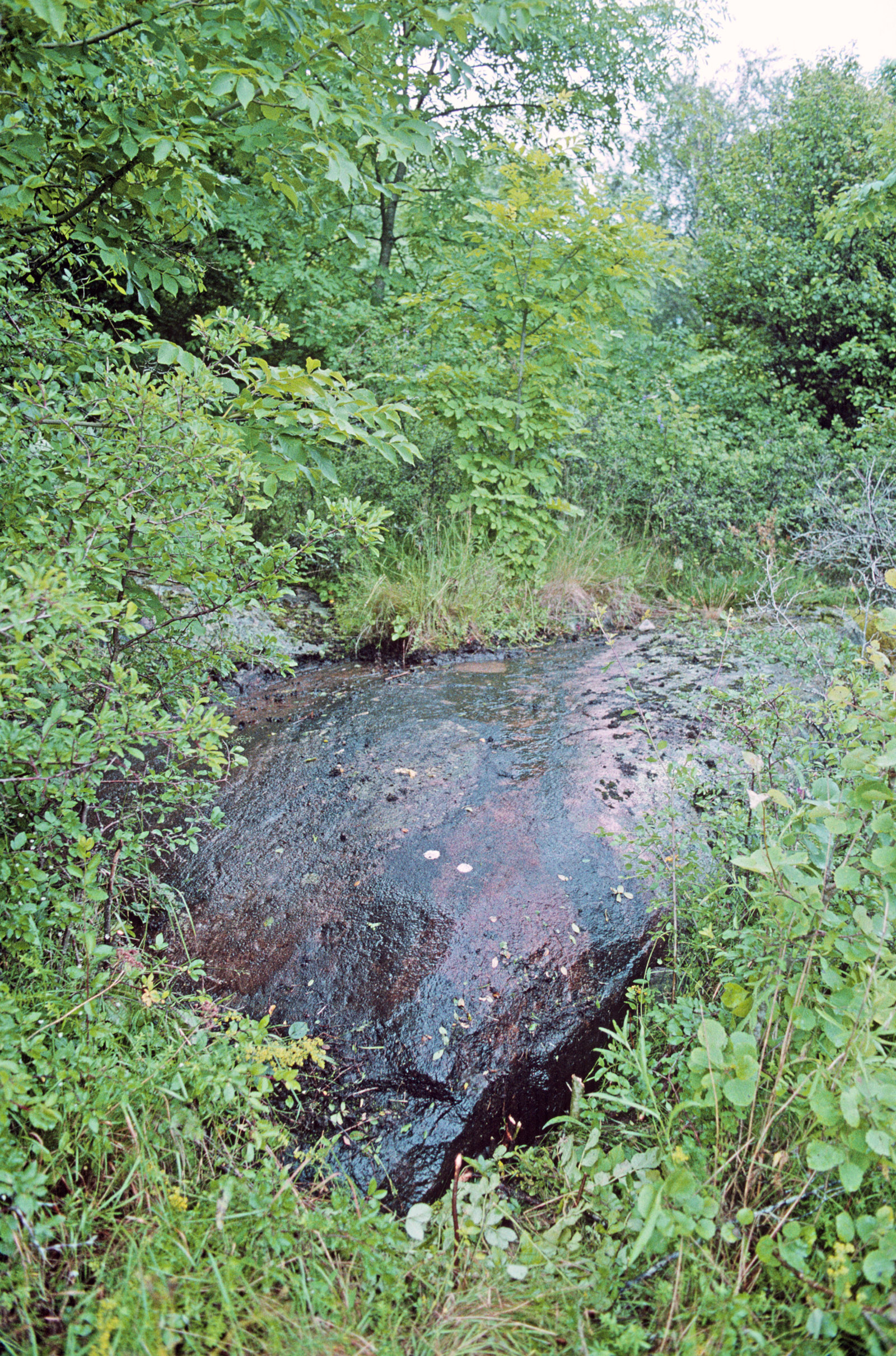 Långön Tossene