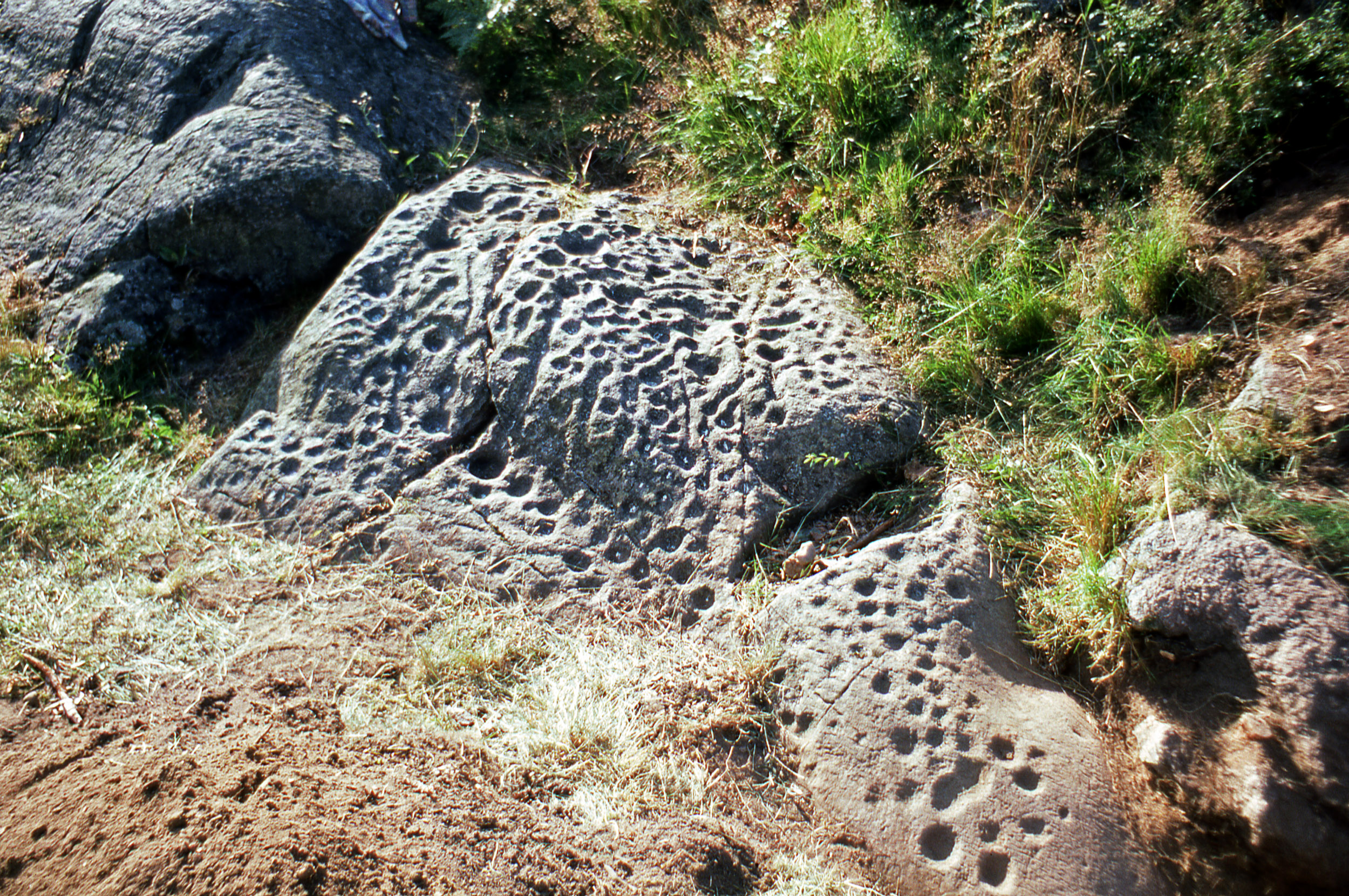 Torp Skredsvik