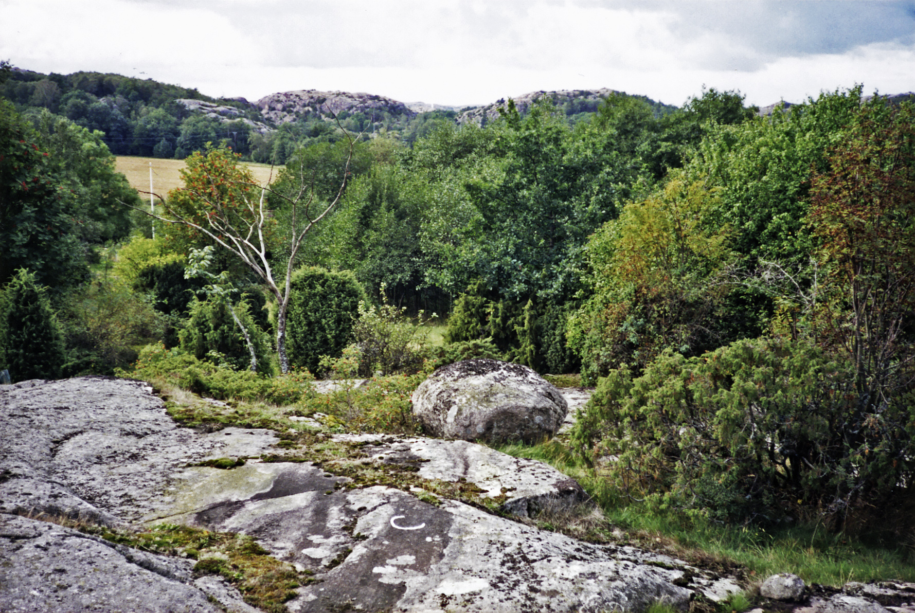 Anneslätt Askum