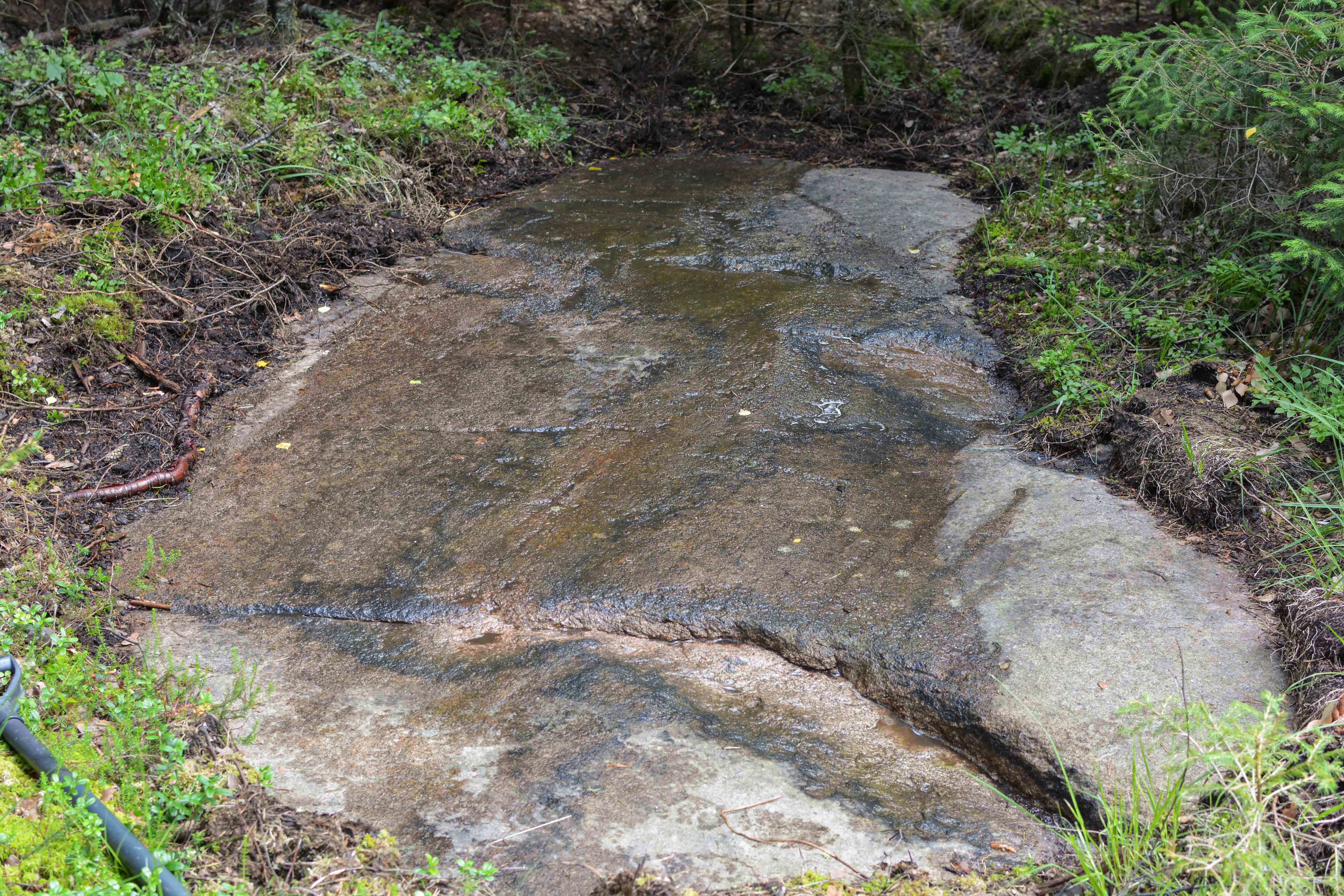 Tegneby Svinemyr Tanum