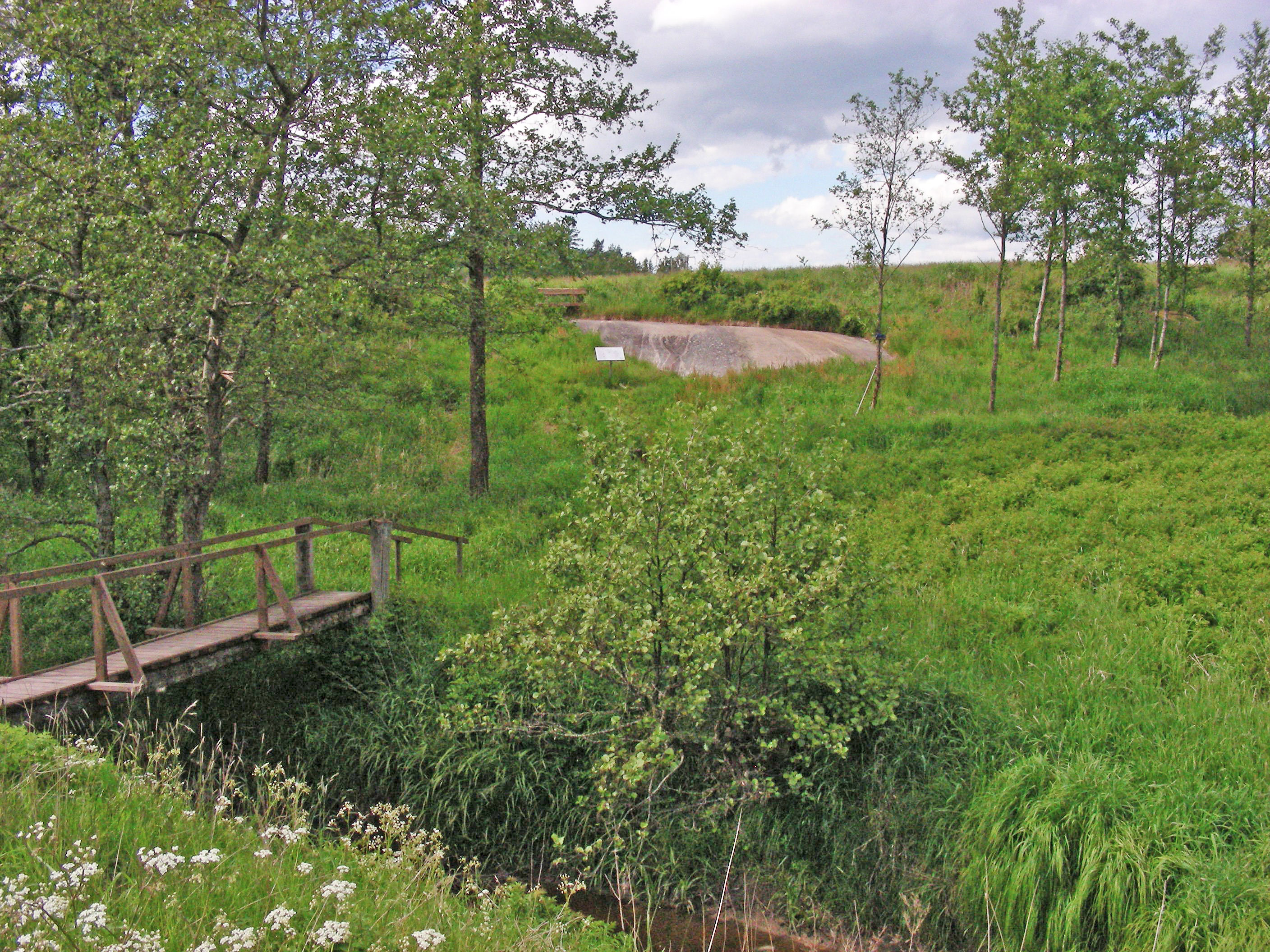 Gerum Runohällen Tanum