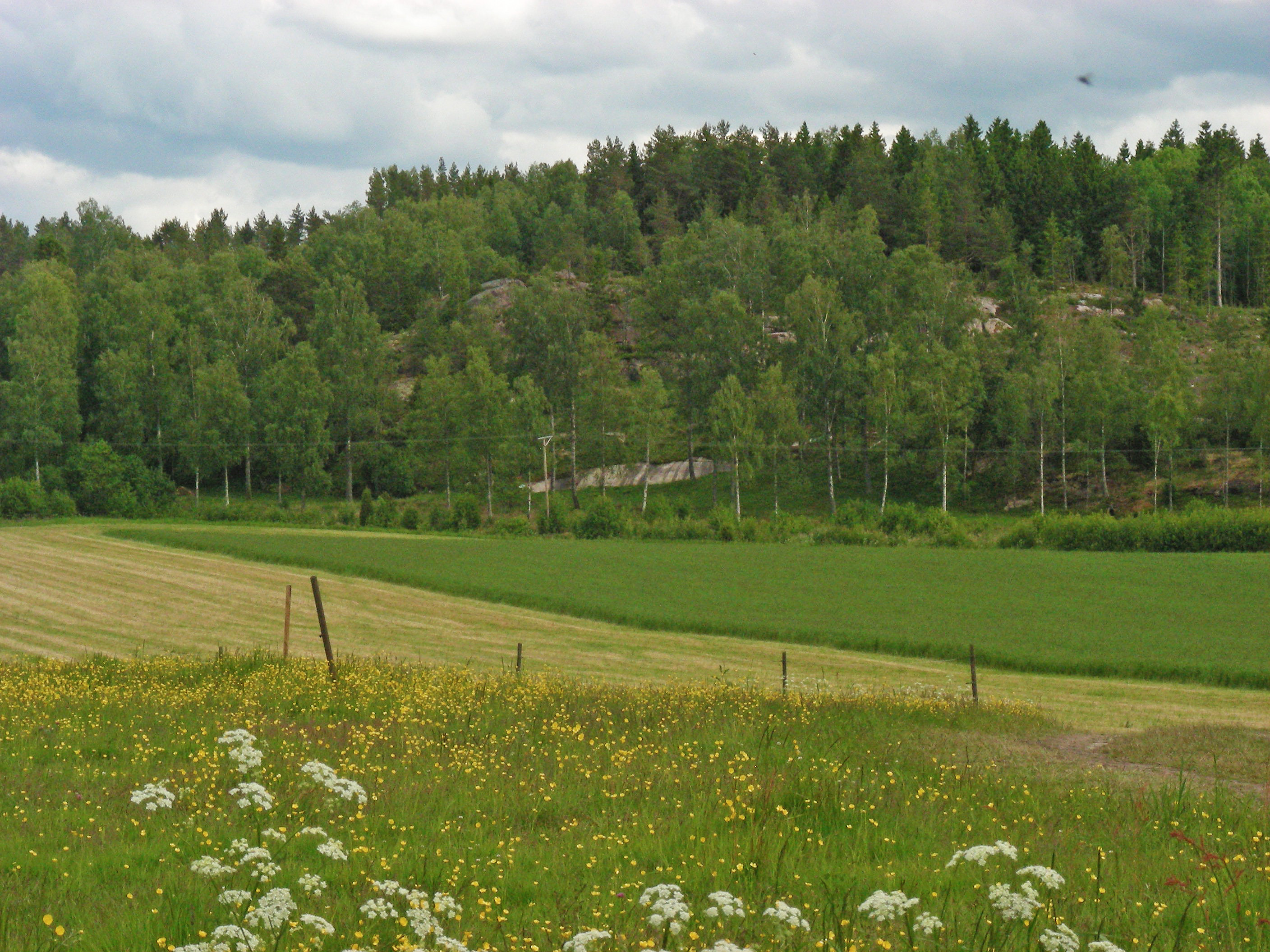 Lövåsen Tanum