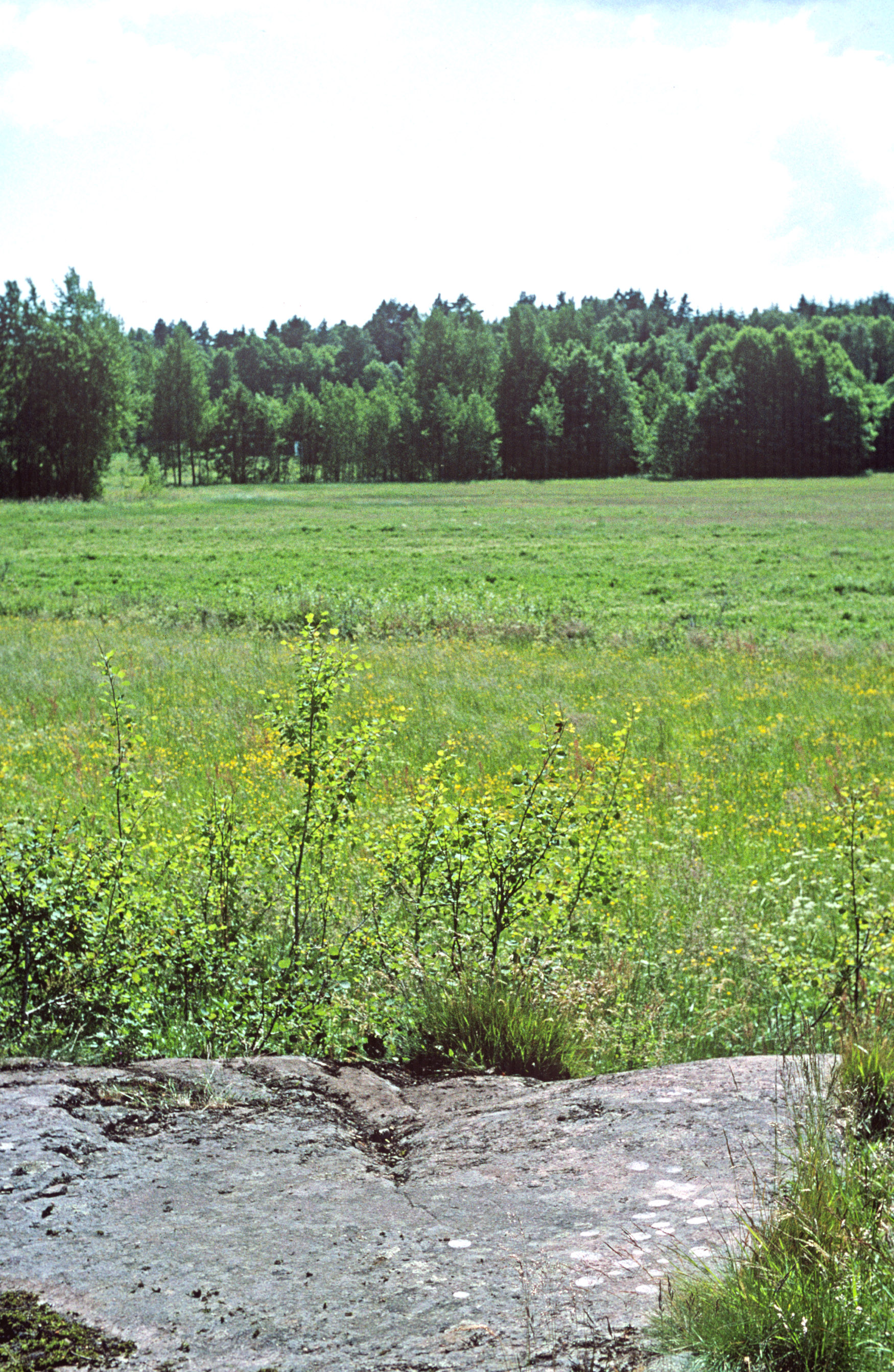 Lönnekärr Tossene