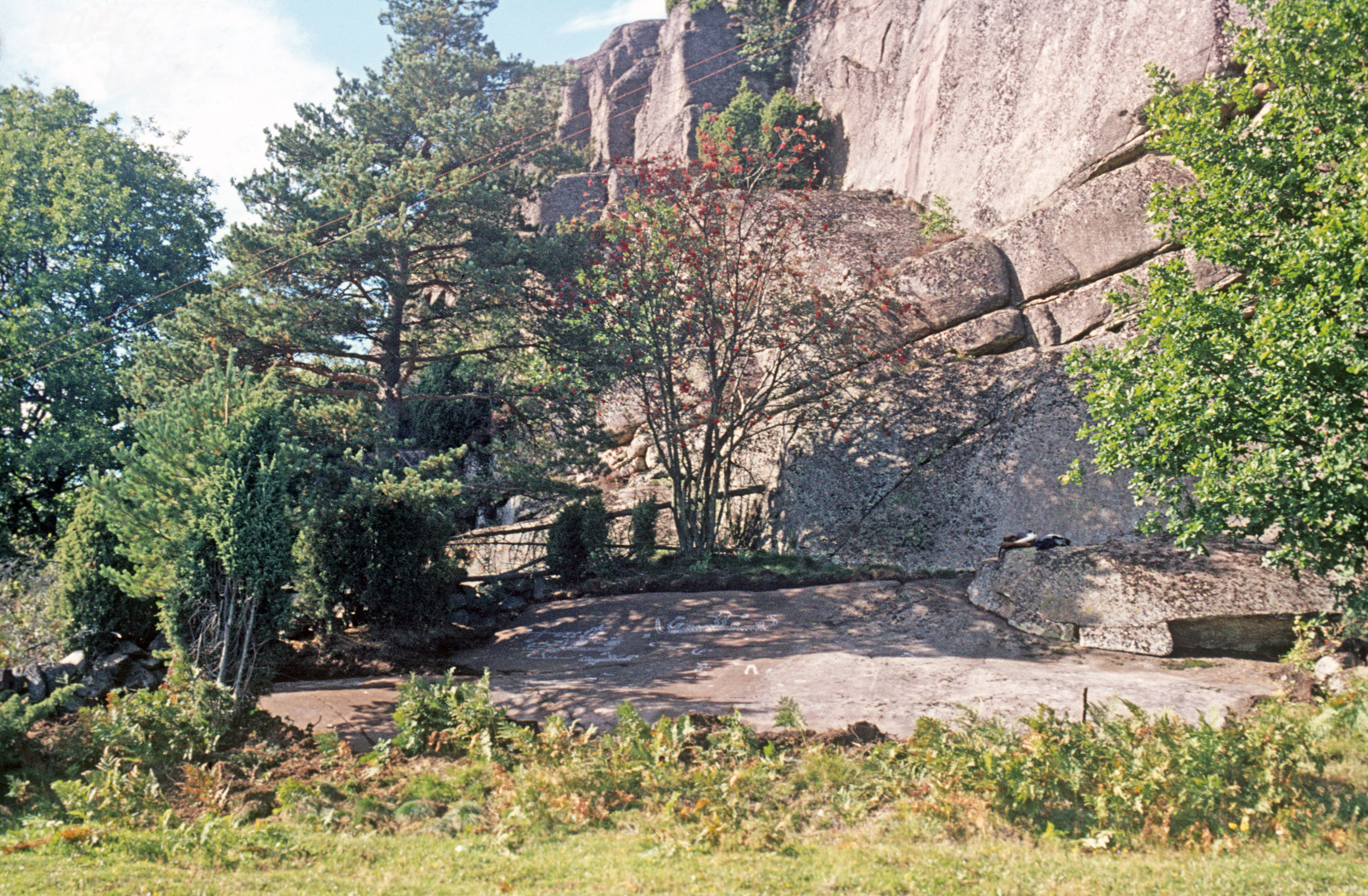 Bärby Svarteborg