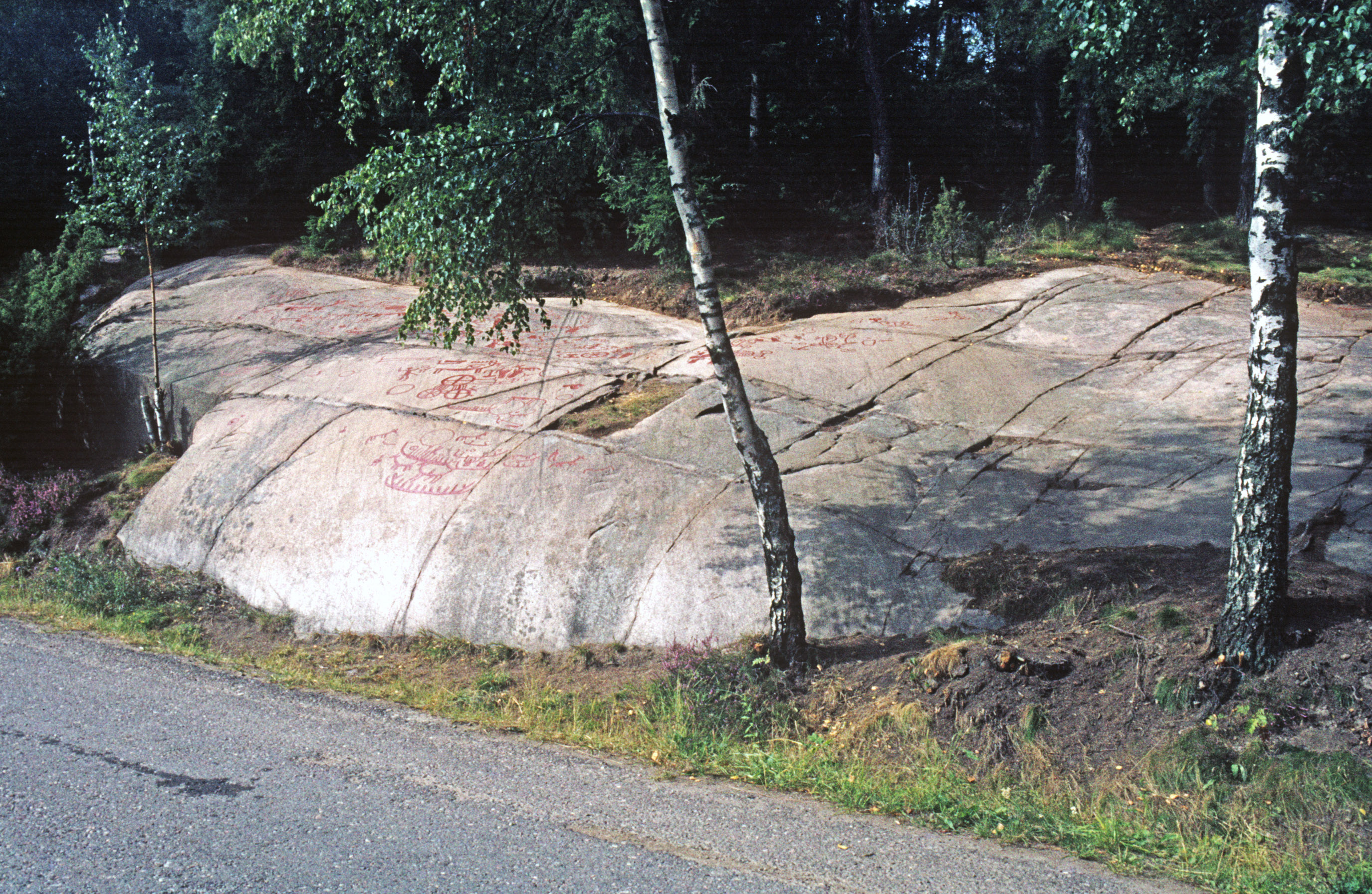 Backa Brastad