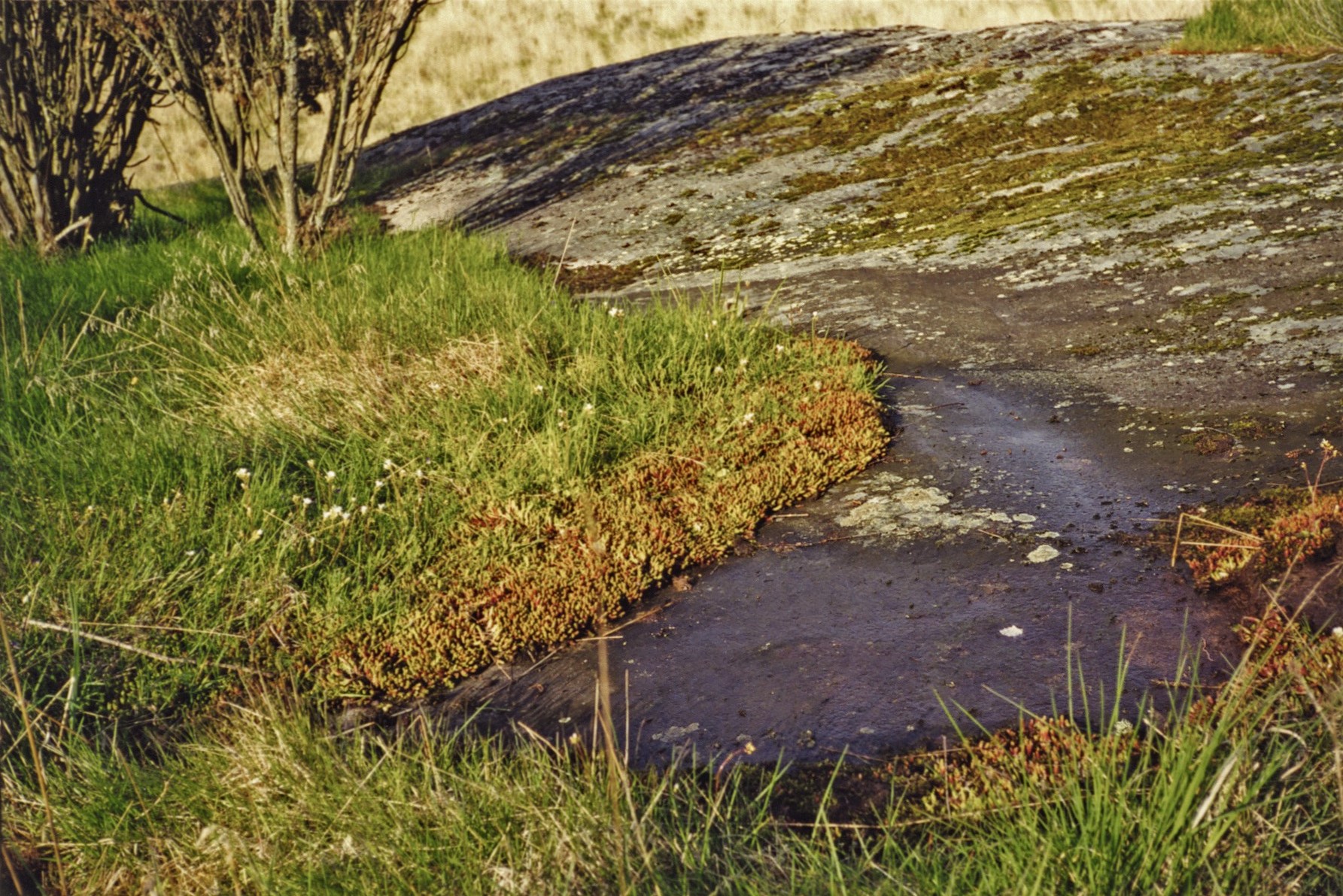 Långeland Askum