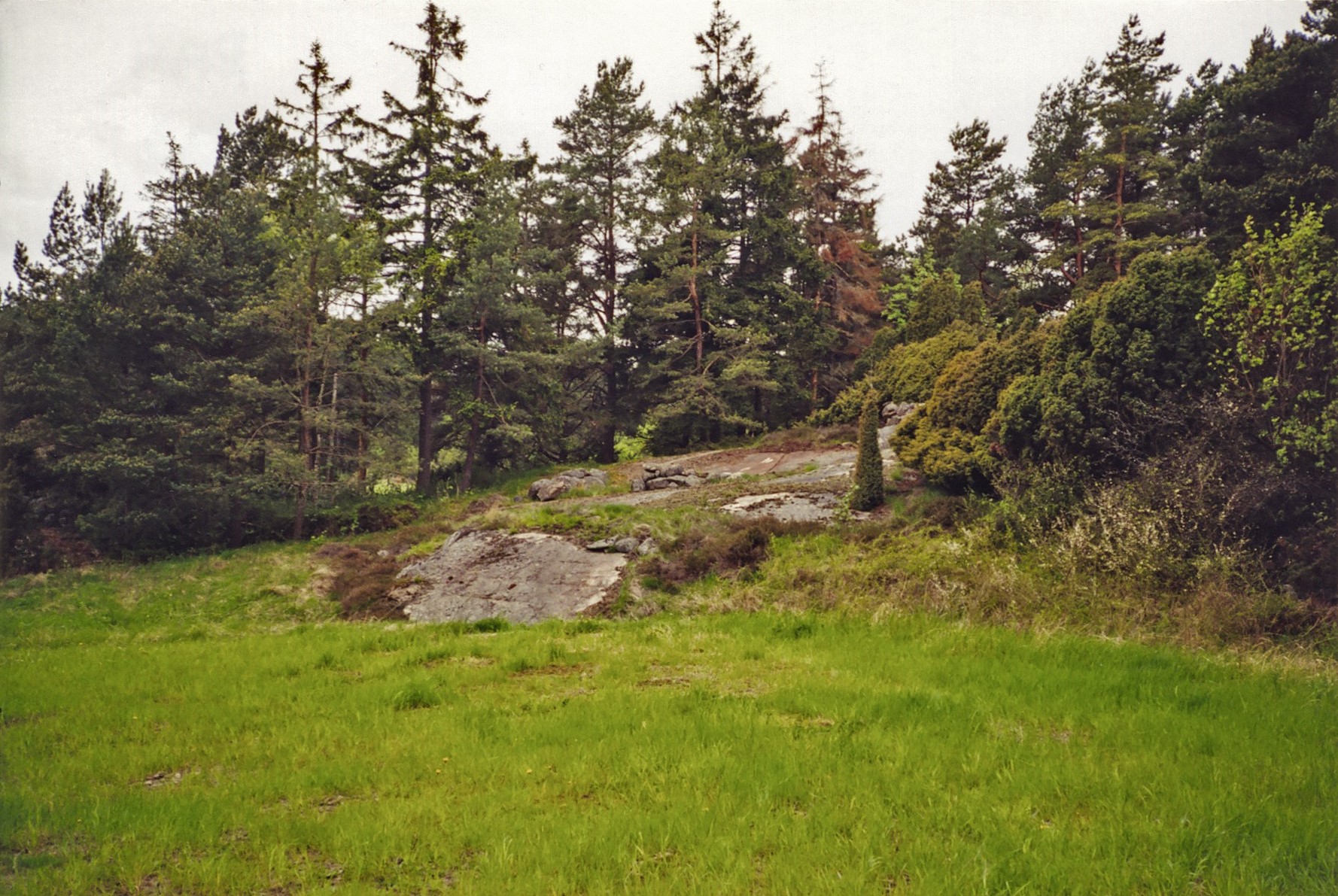 Rån Askum