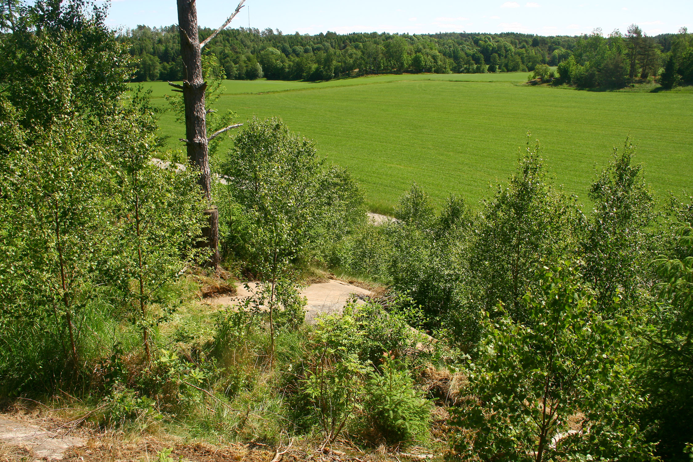 Tanums Prästgård Ulriksdal