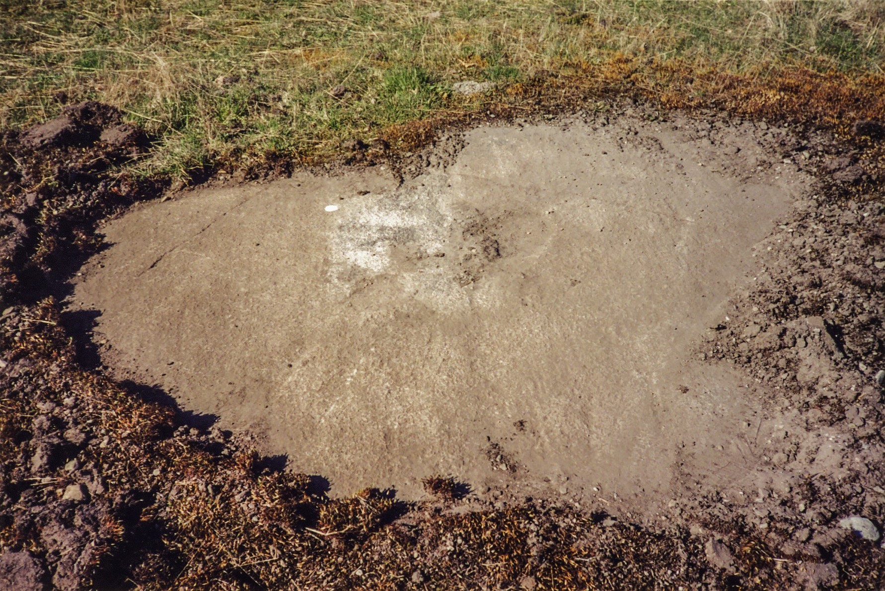 Anneröd Askum