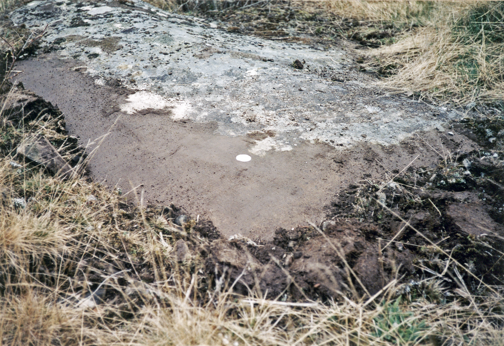 Präst-Backa Askum