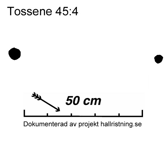 Tossene