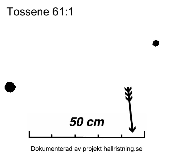 Tossene