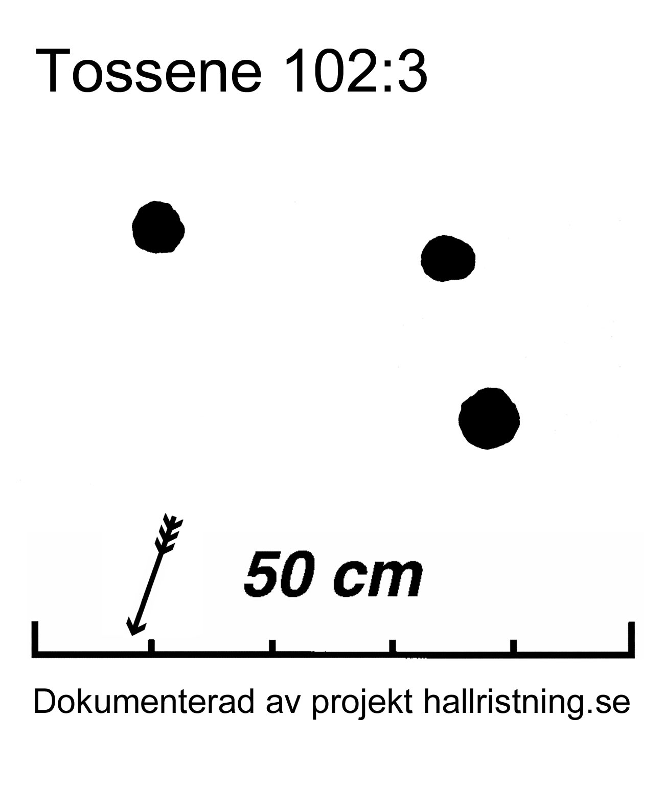 Hogsäm Tossene