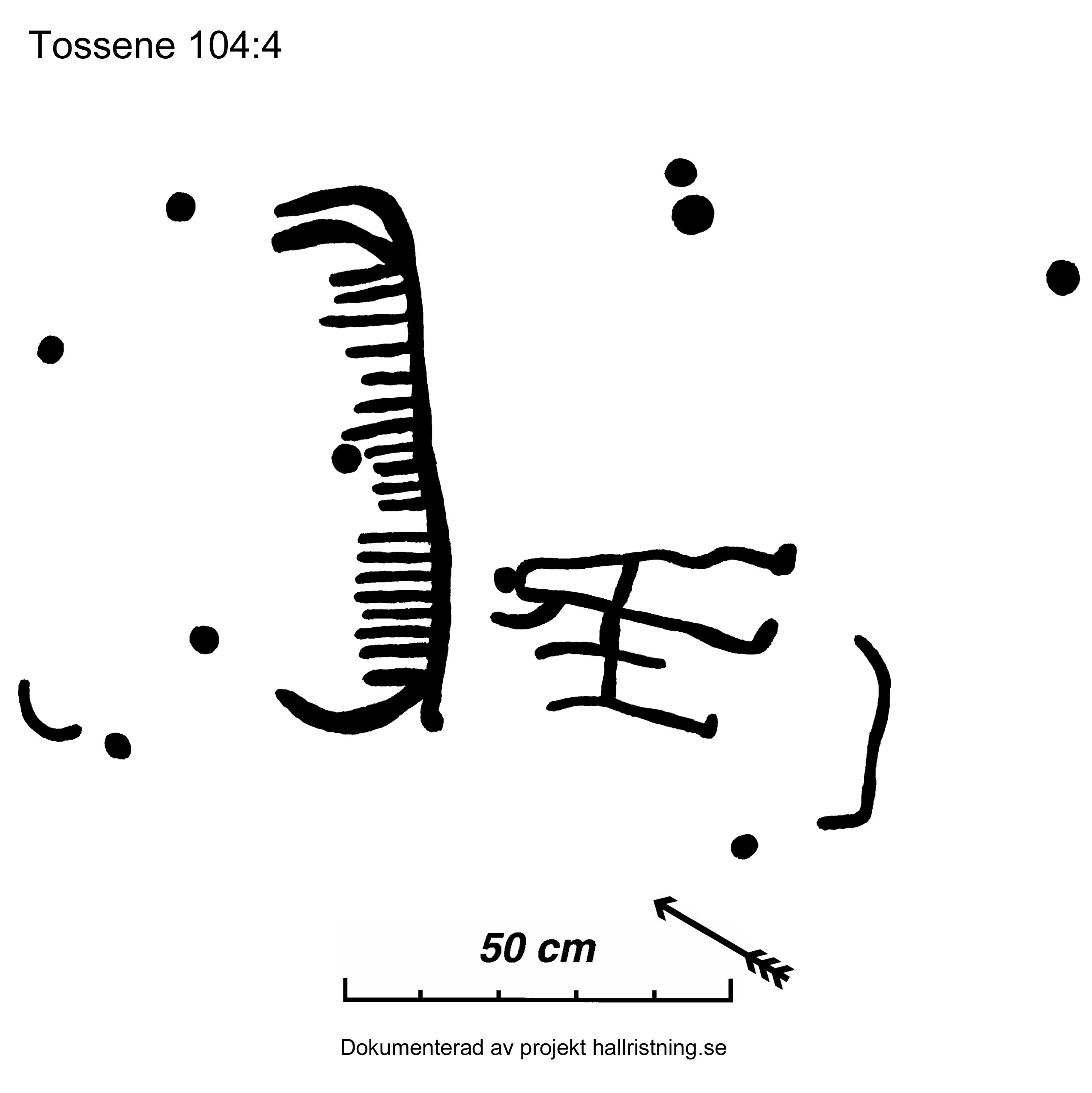 Skälle Tossene