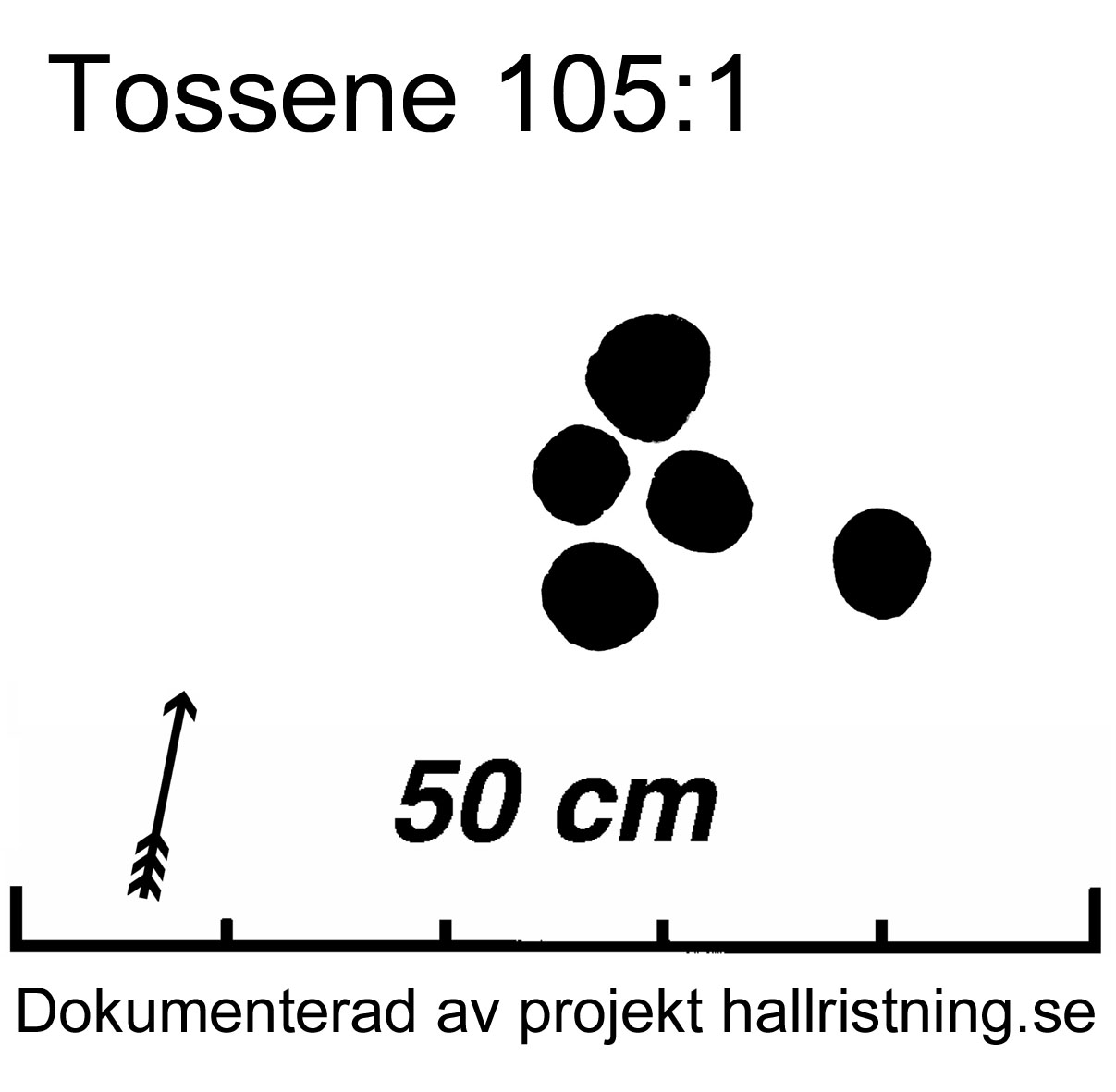 Hogsäm Tossene