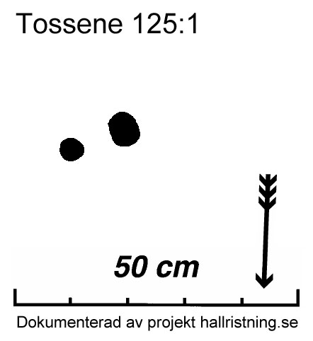 Tossene