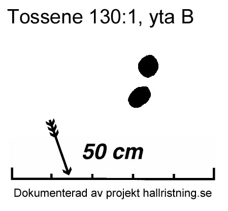 Tossene