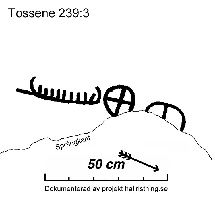 Tossene