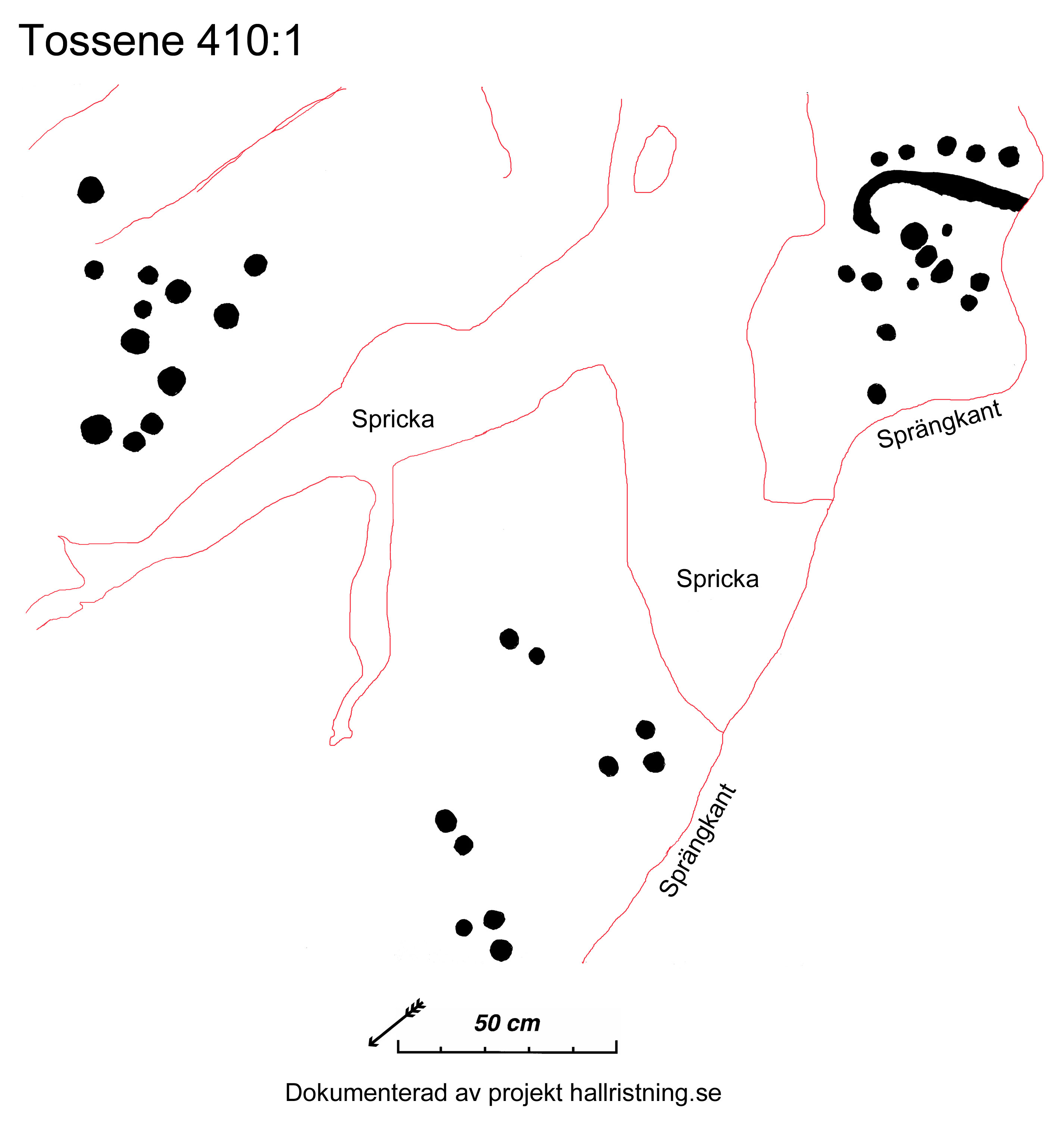 Hogsäm Tossene