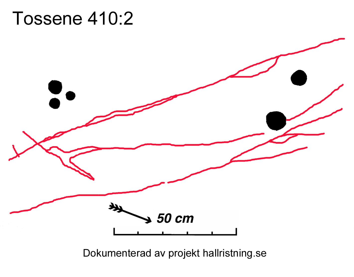 Hogsäm Tossene