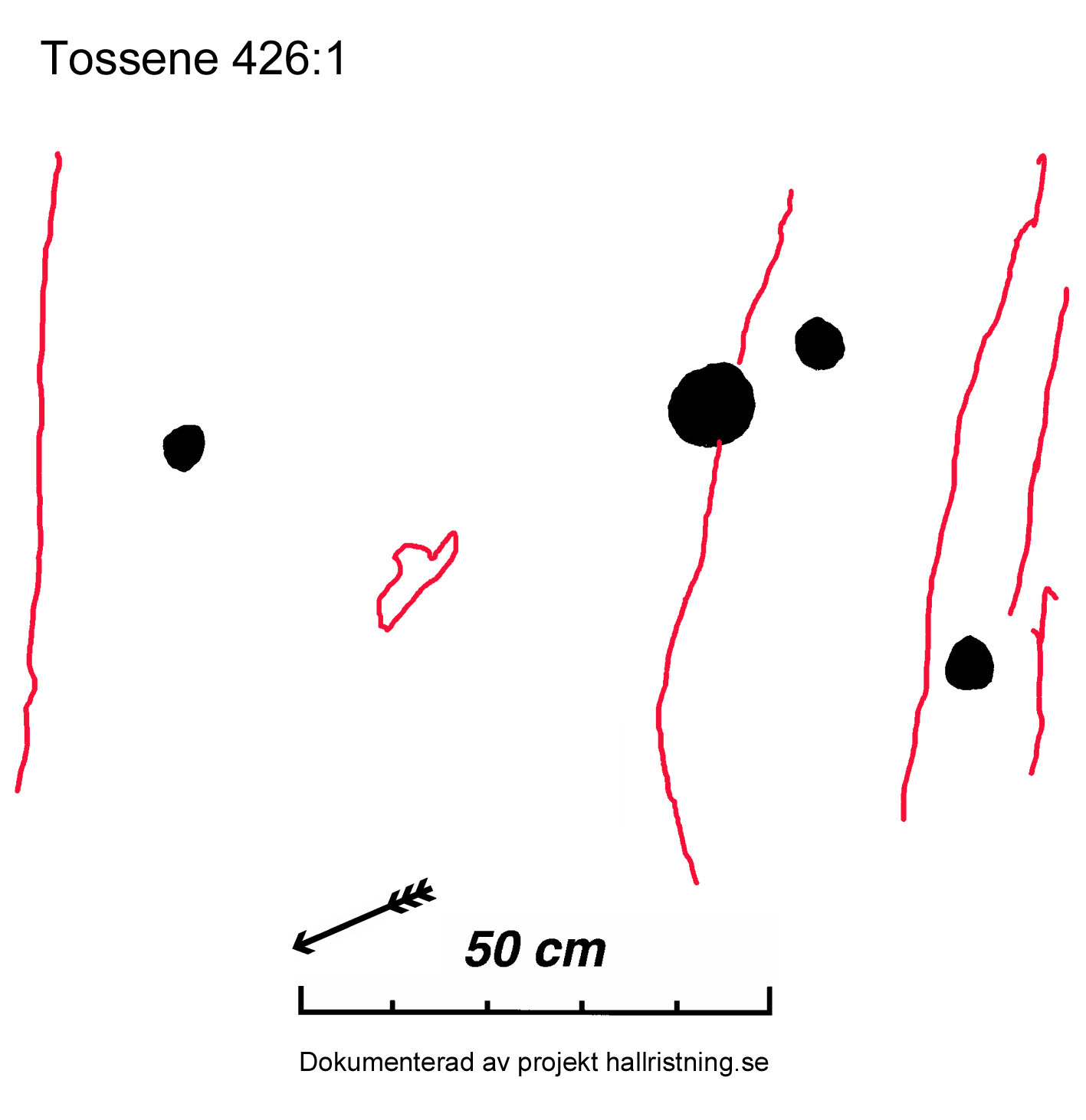 Hogsäm Tossene