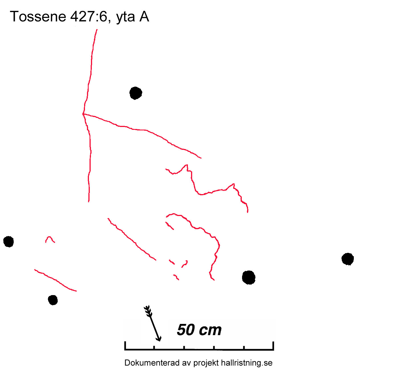 Hogsäm Tossene