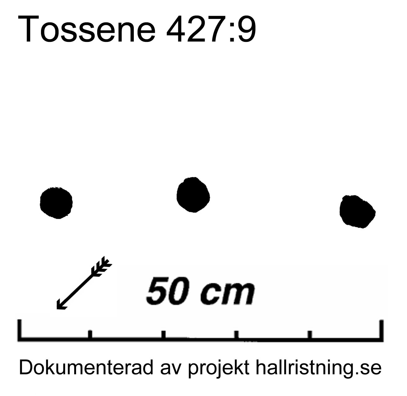 Hogsäm Tossene