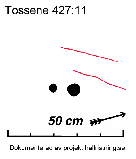 Hogsäm Tossene