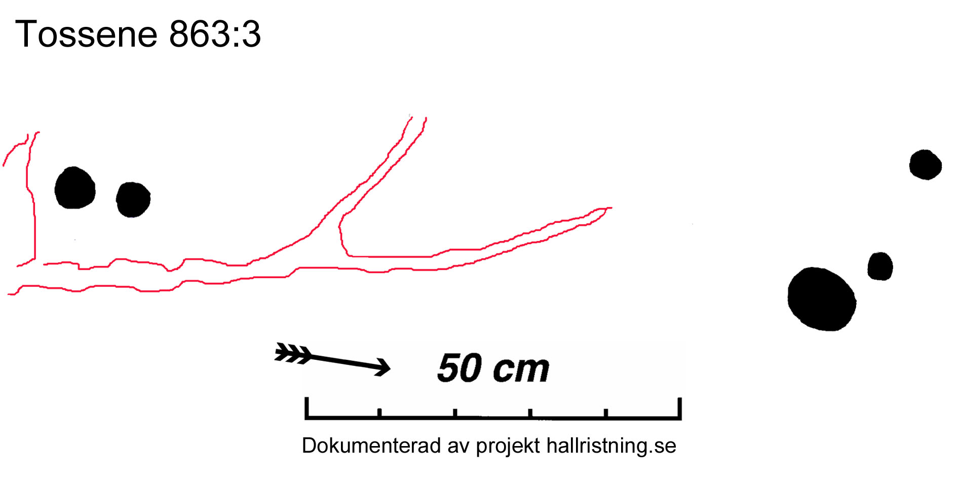 Hogsäm Tossene