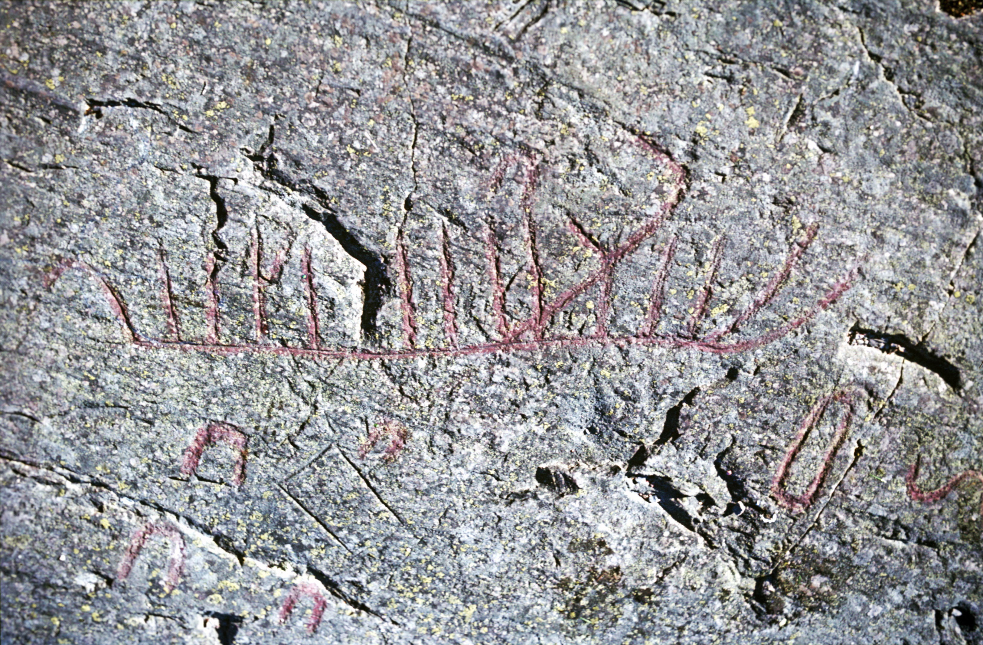 Högsbyn Tisselskog