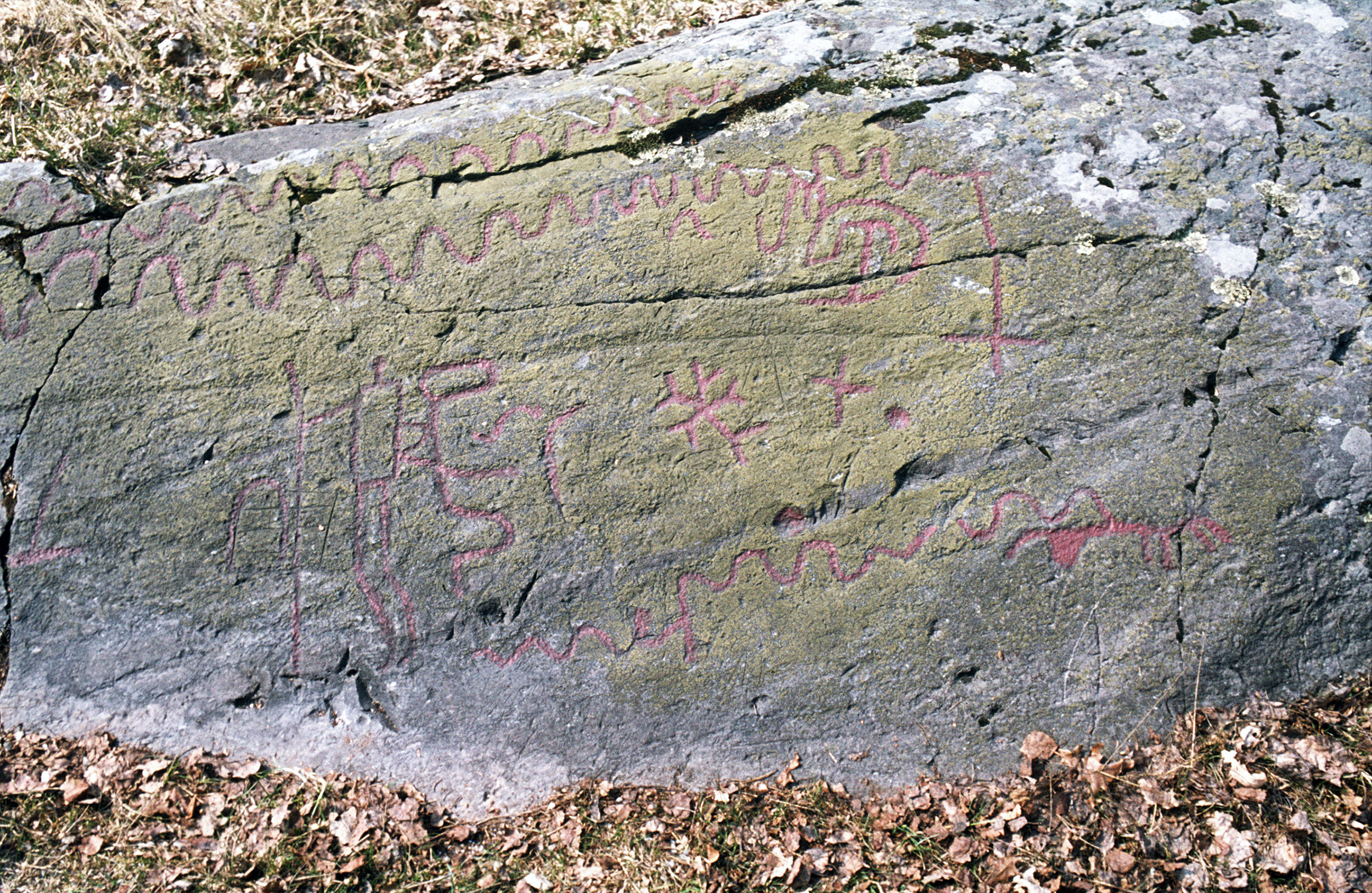 Högsbyn Tisselskog