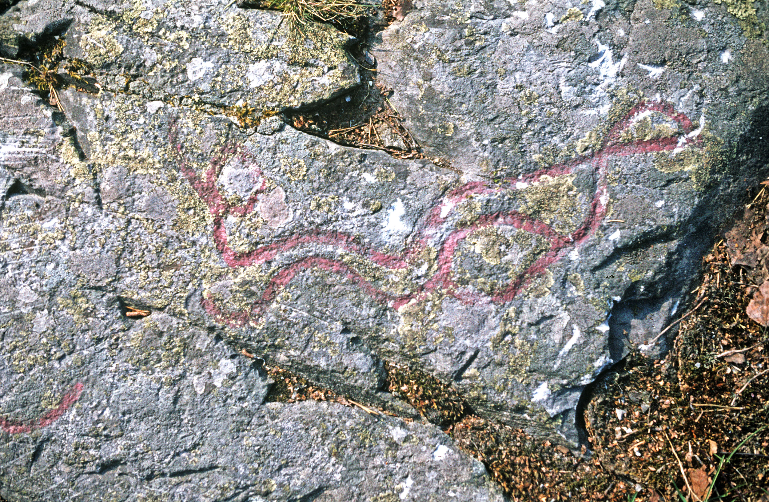 Högsbyn Tisselskog