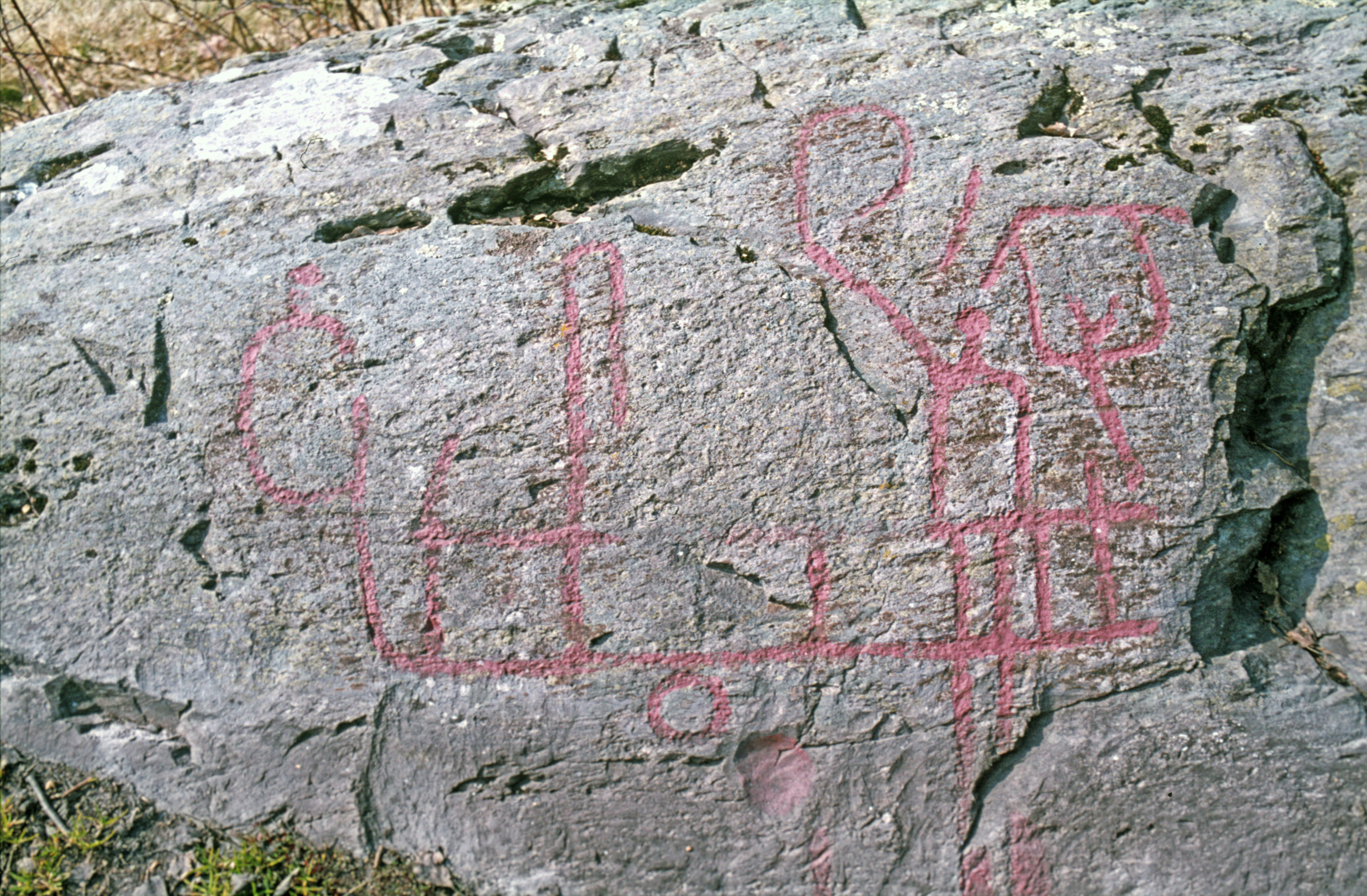 Högsbyn Tisselskog