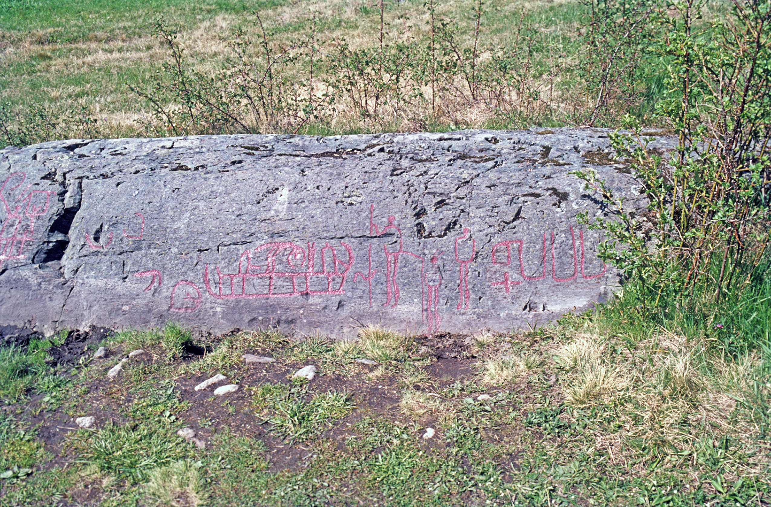 Högsbyn Tisselskog