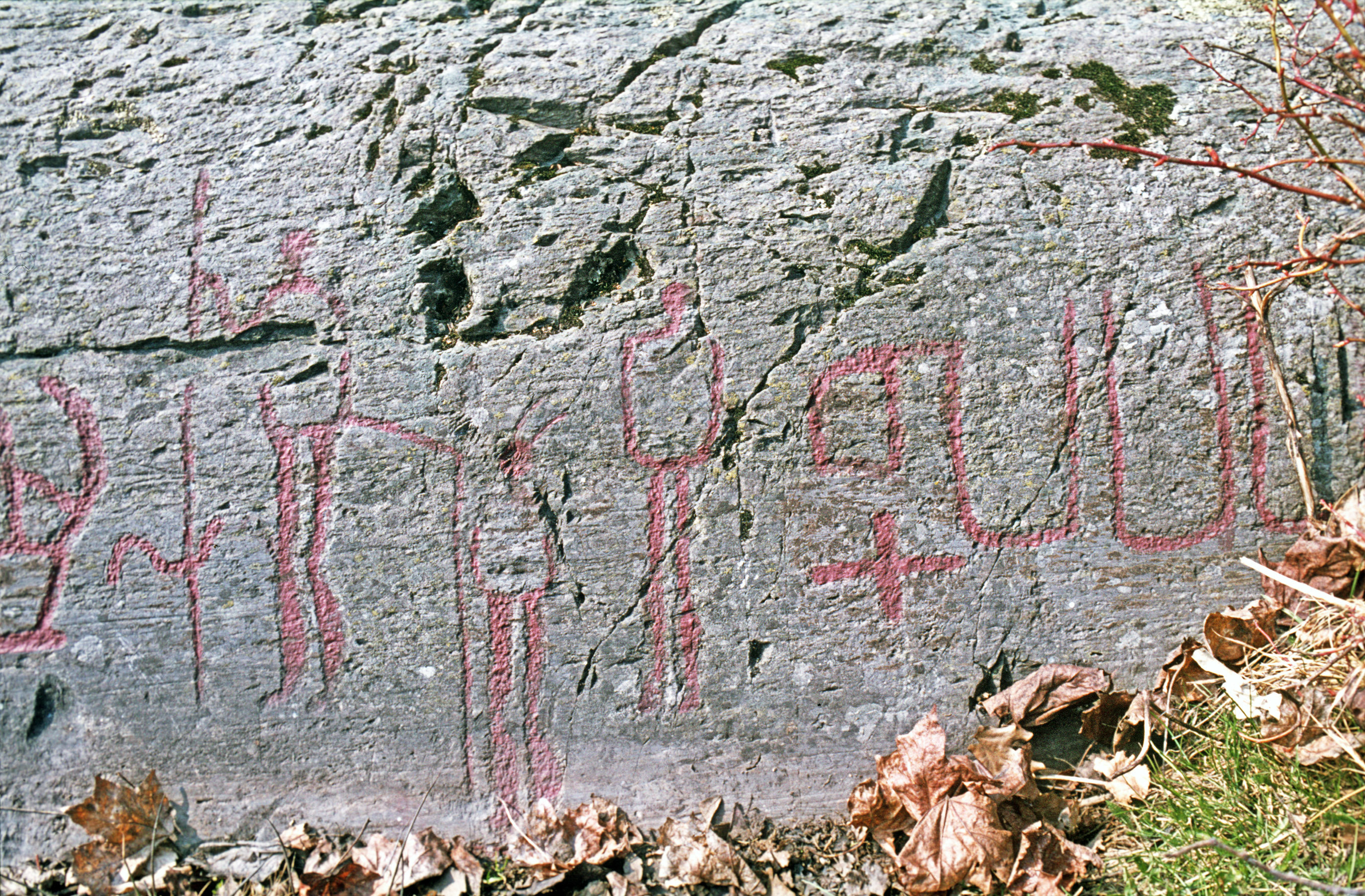 Högsbyn Tisselskog