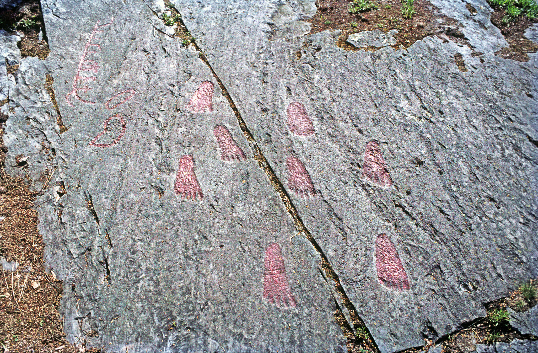 Högsbyn Tisselskog