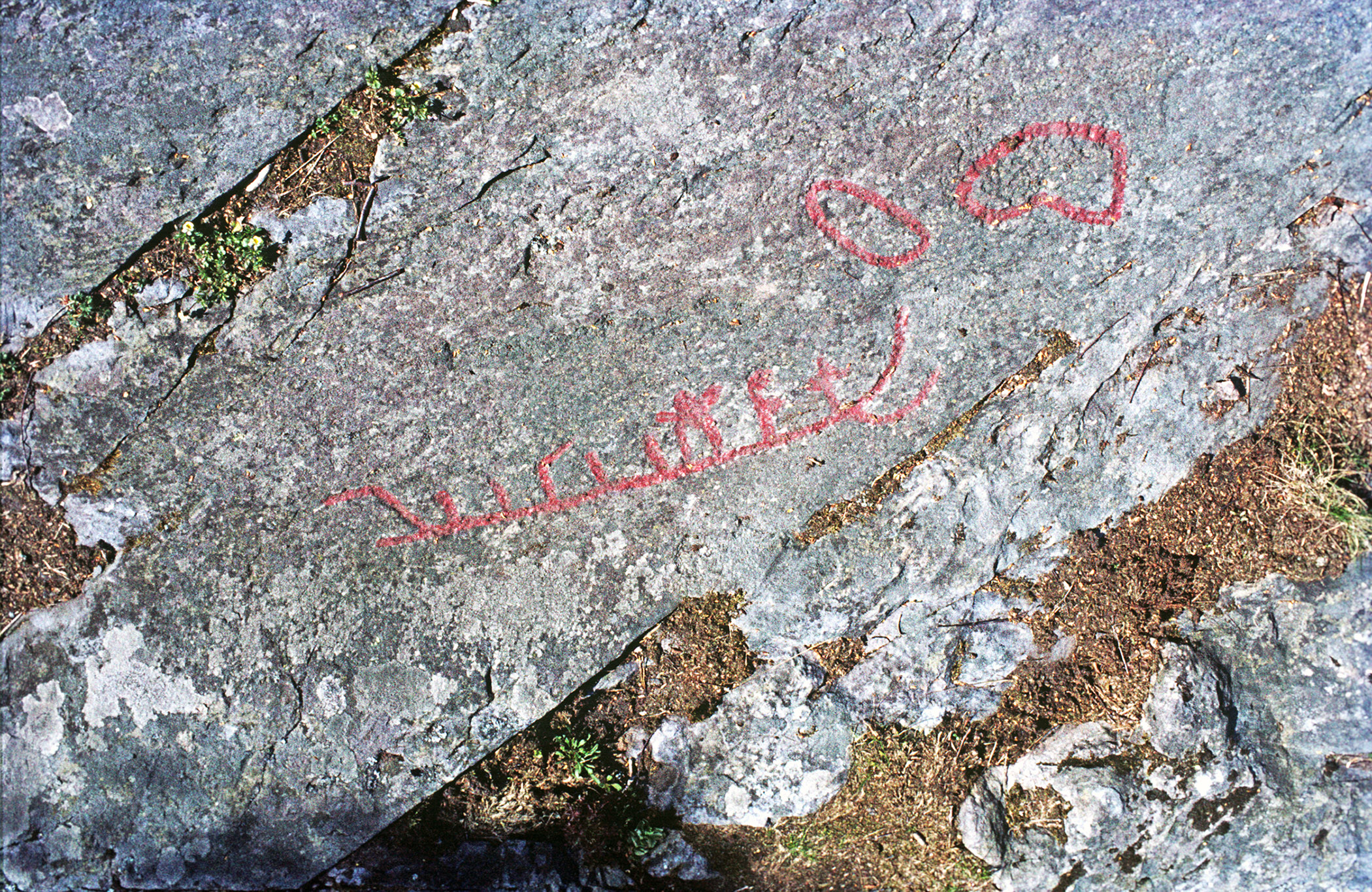 Högsbyn Tisselskog