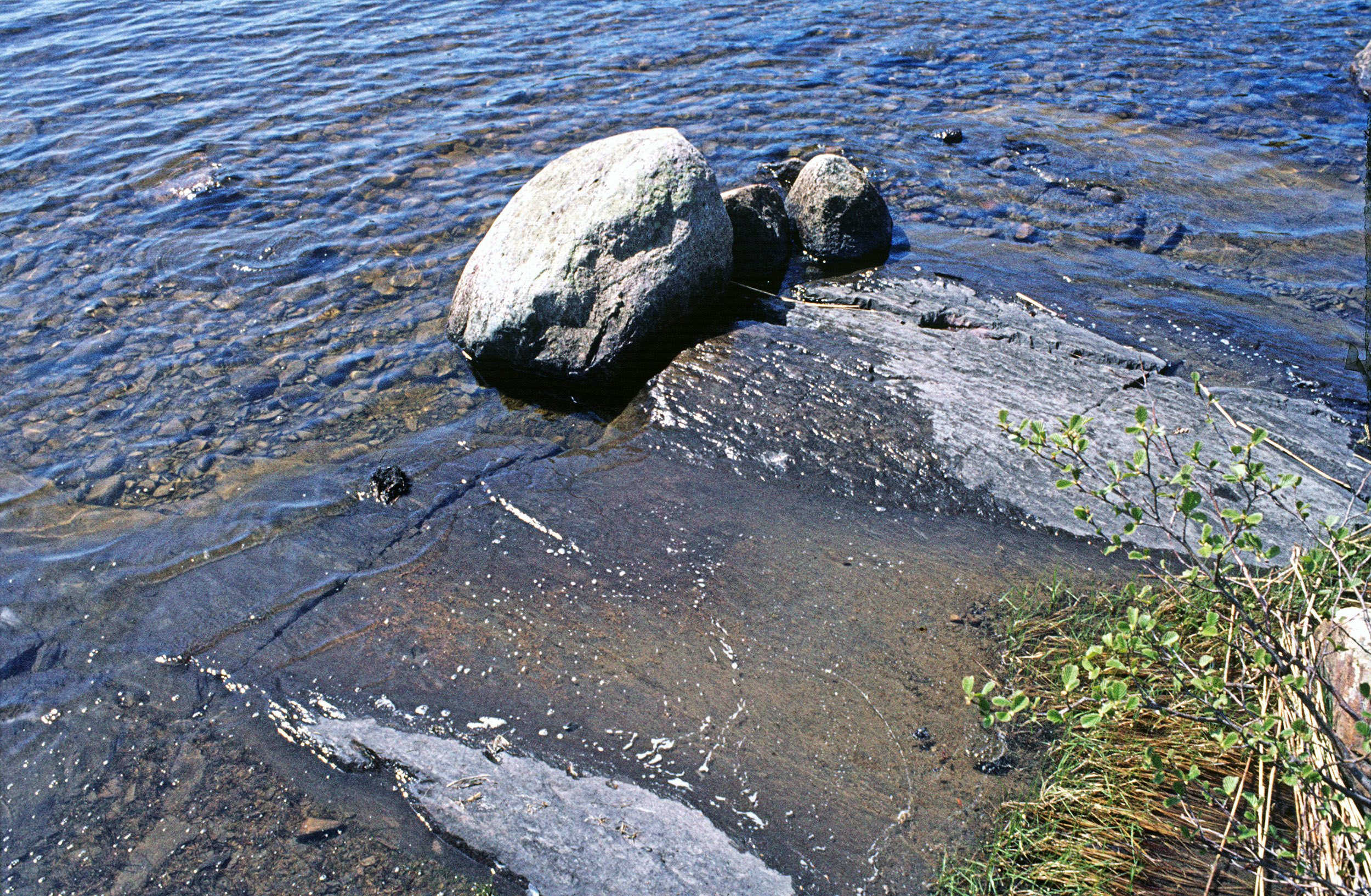 Högsbyn Tisselskog