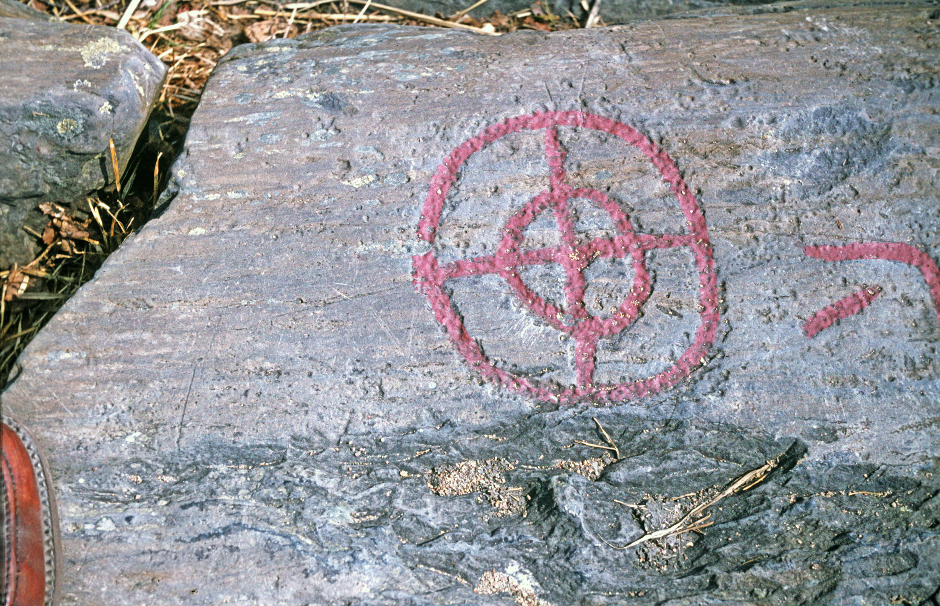 Högsbyn Tisselskog