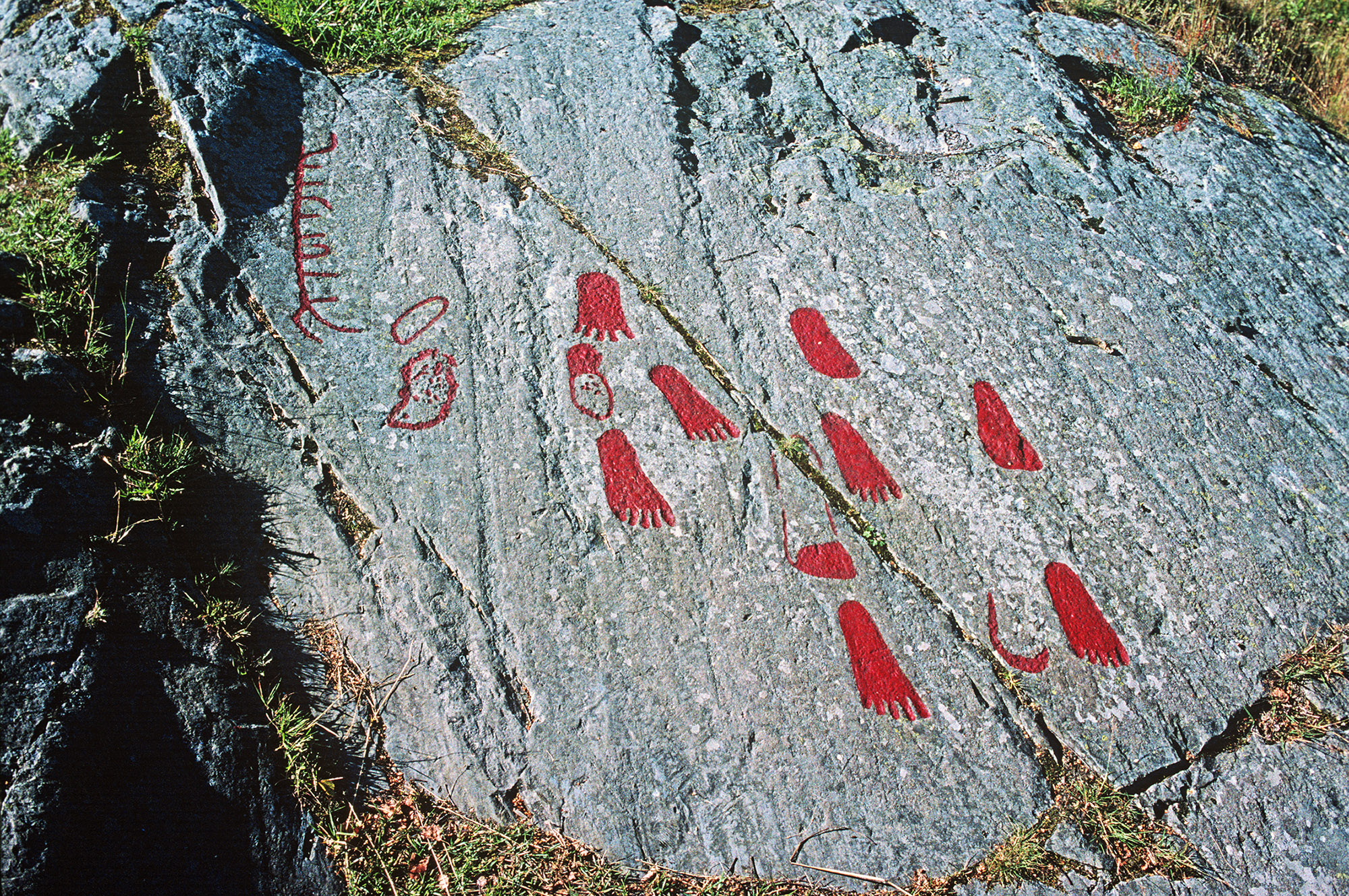 Högsbyn Tisselskog