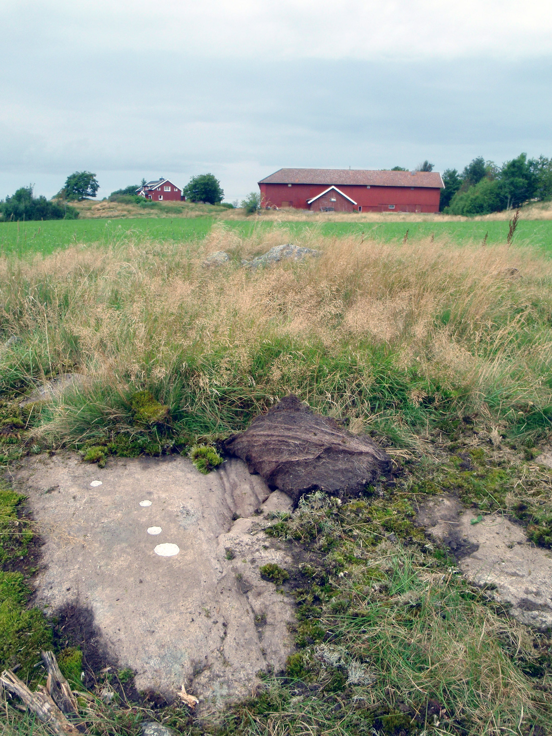 Stora Venas Röra