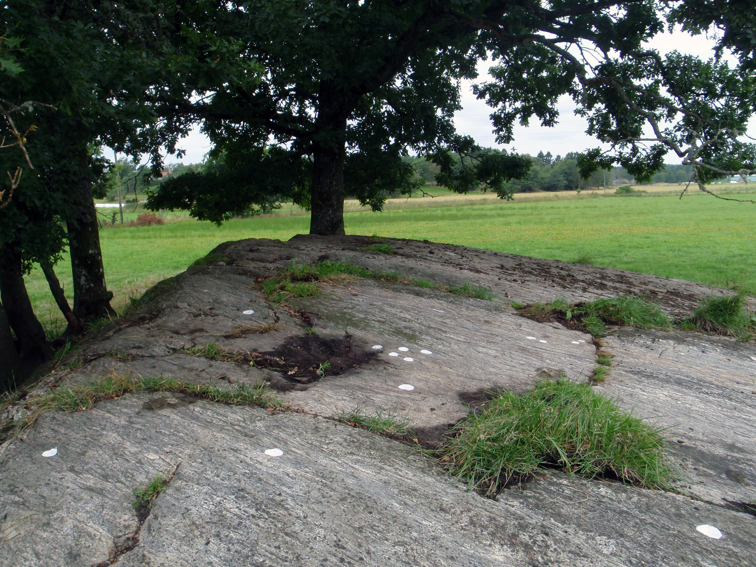 Stora Venas Röra