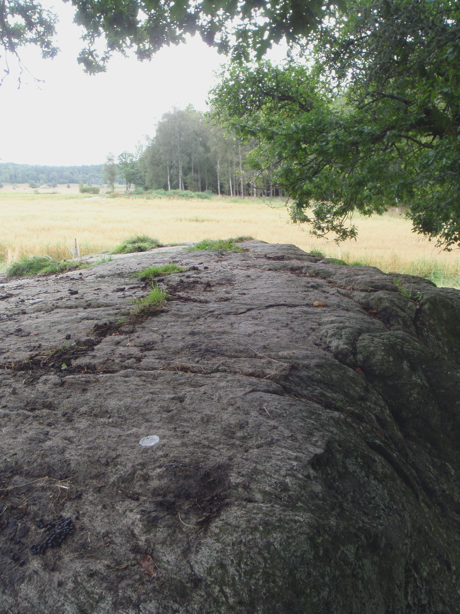 Stora Venas Röra