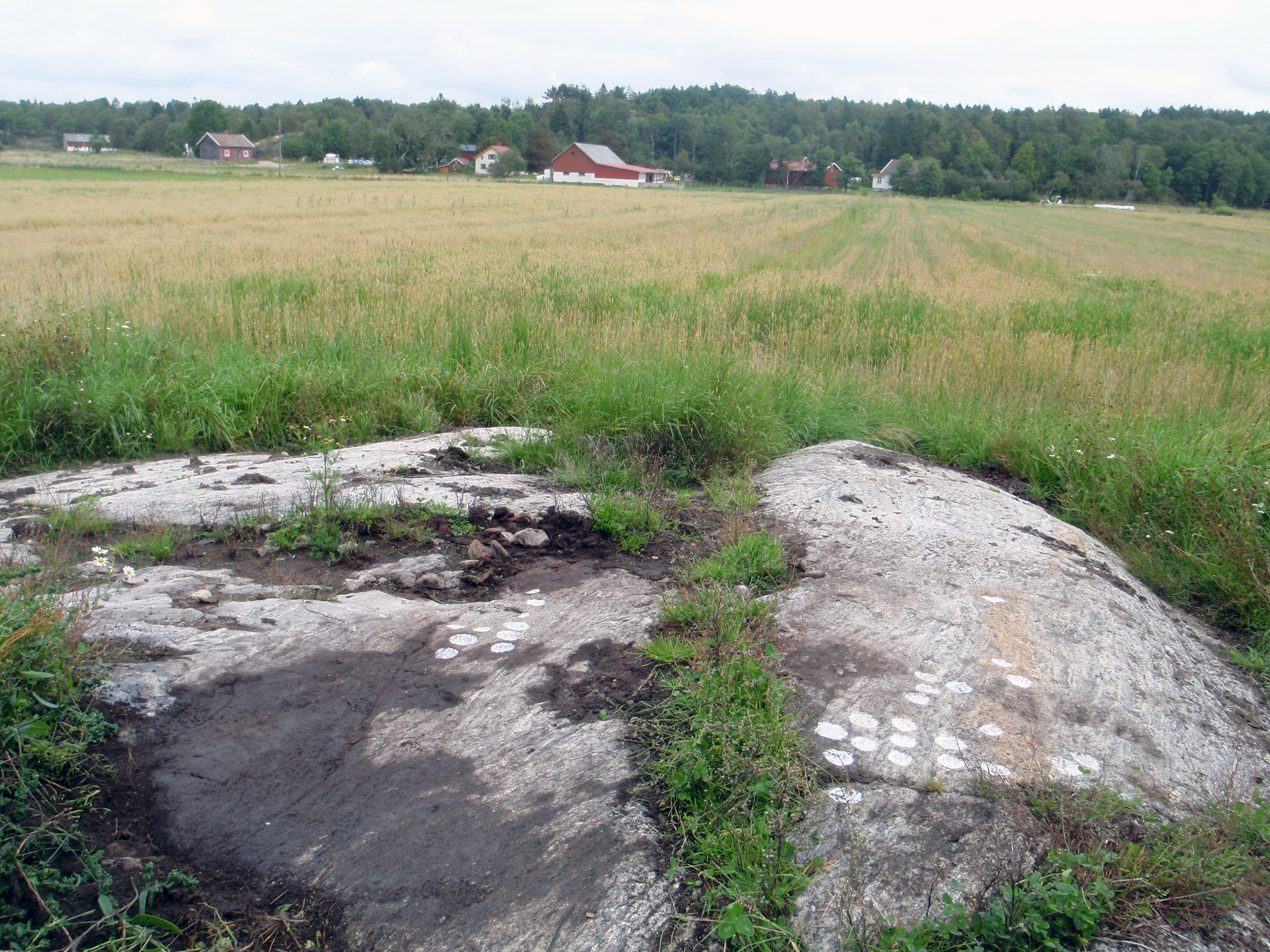 Stora Venas Röra