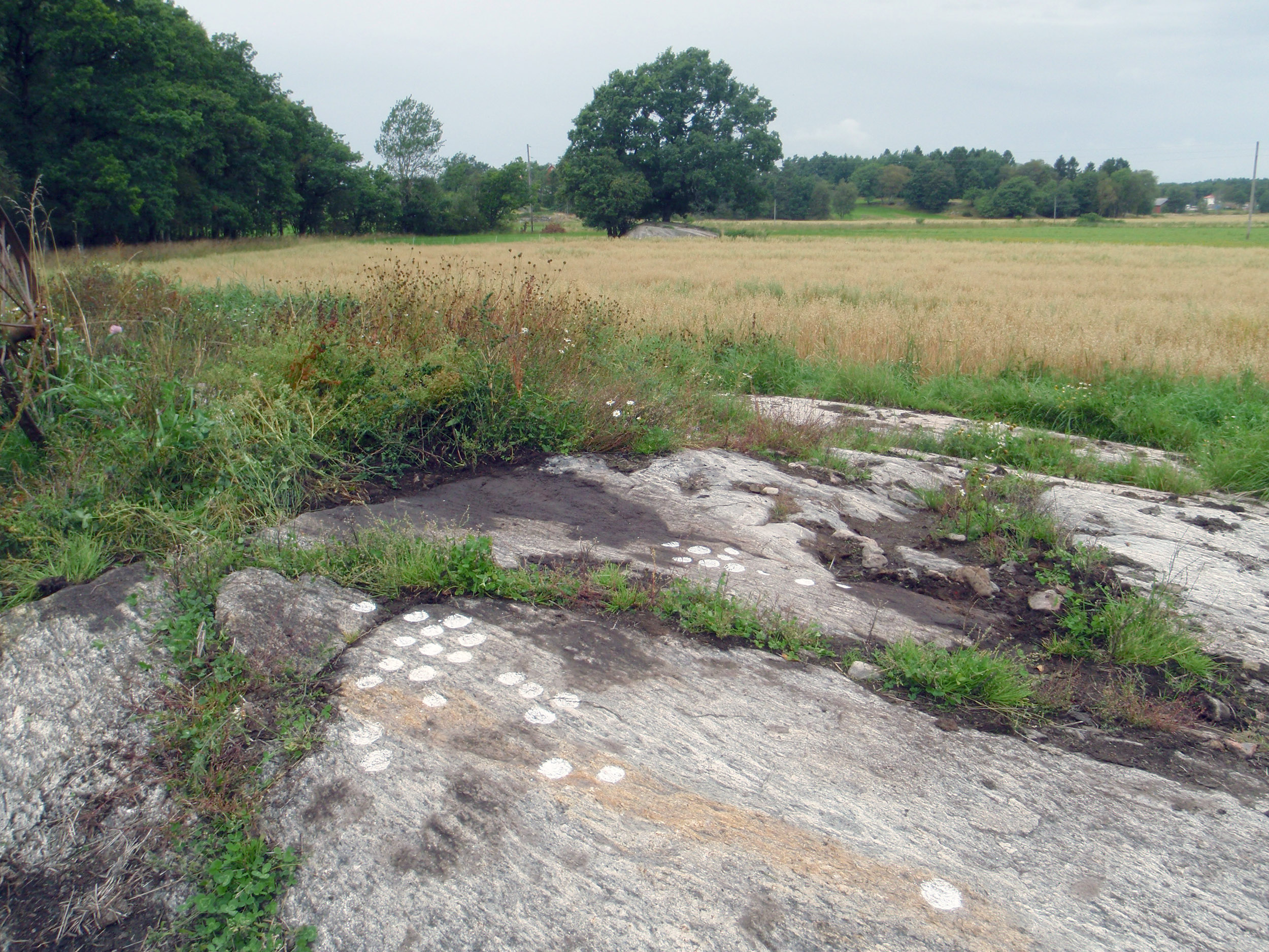 Stora Venas Röra