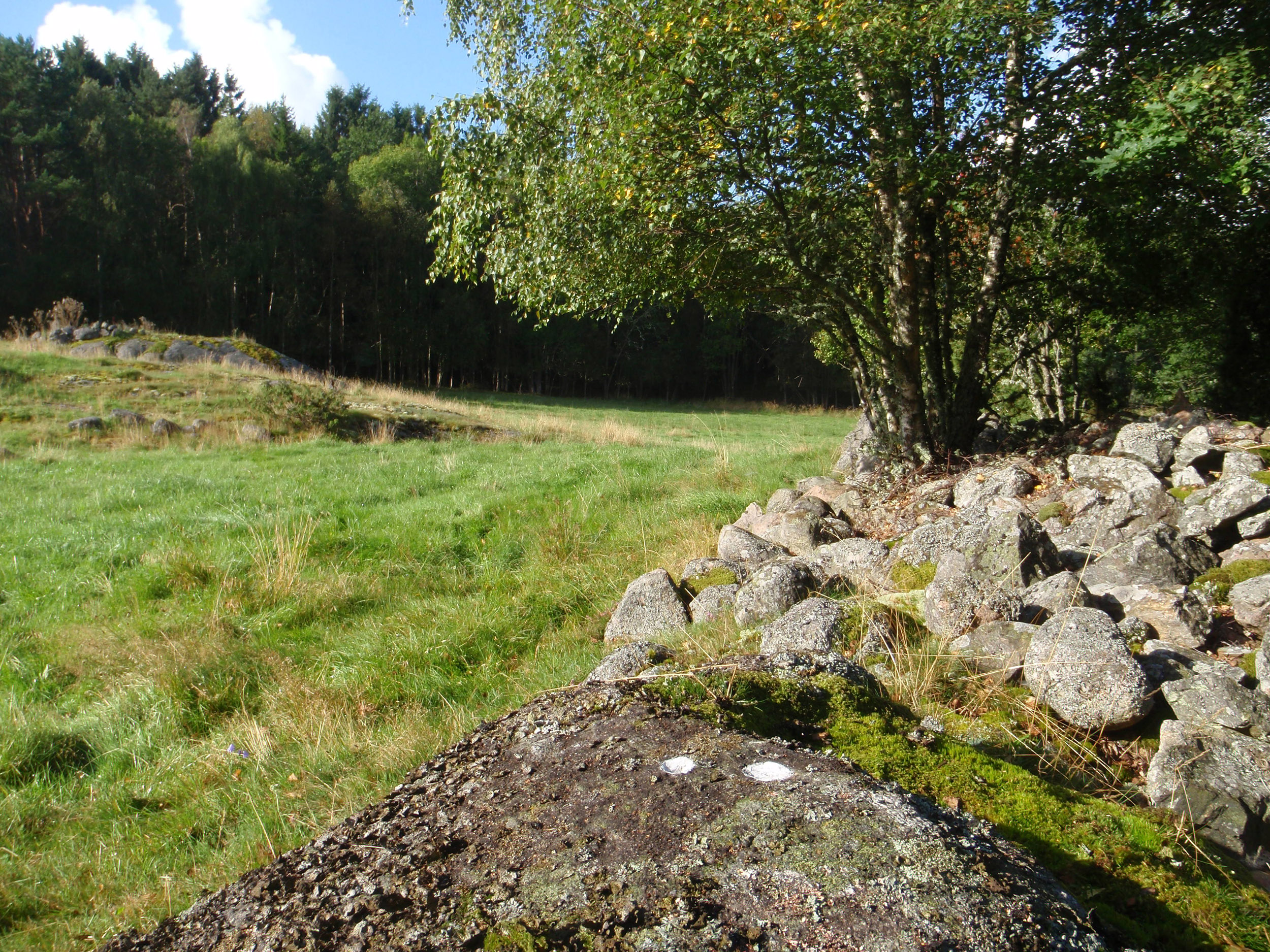 Nötskär Tegneby