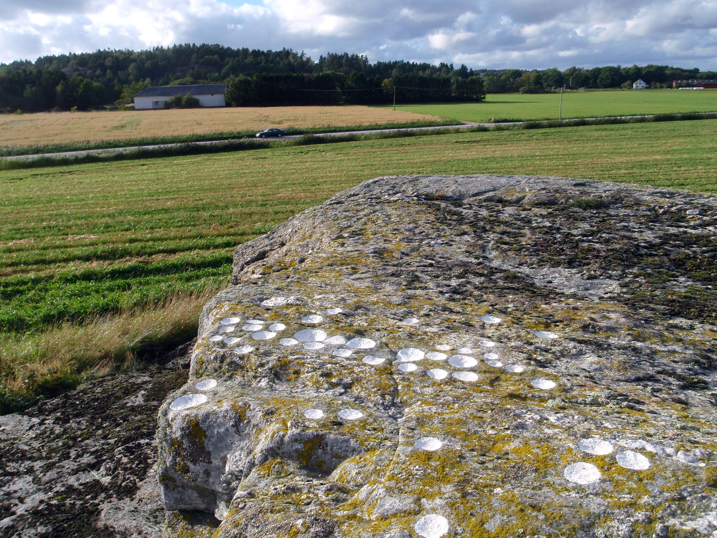 Loppetorp Tegneby