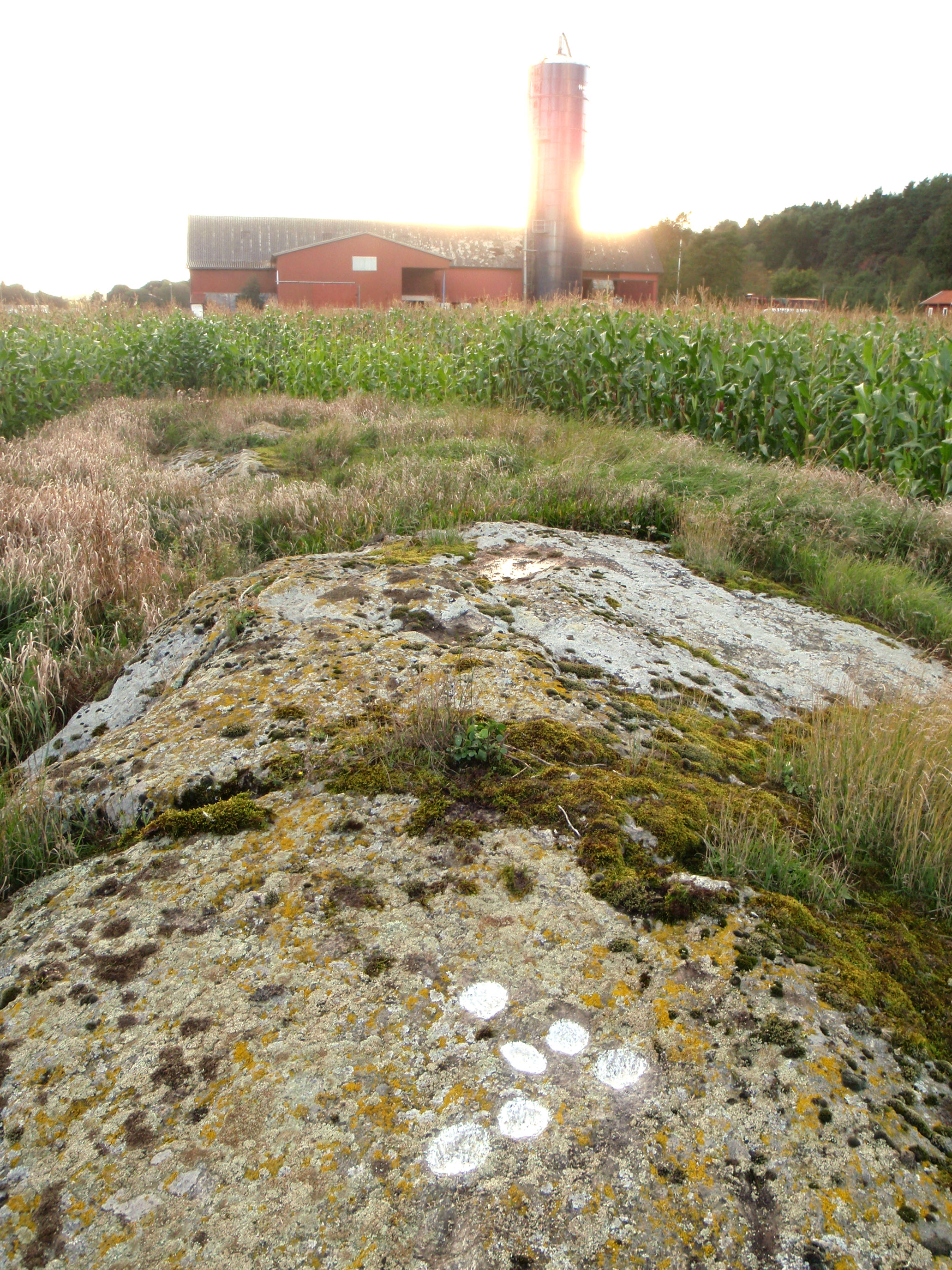 Loppetorp Tegneby