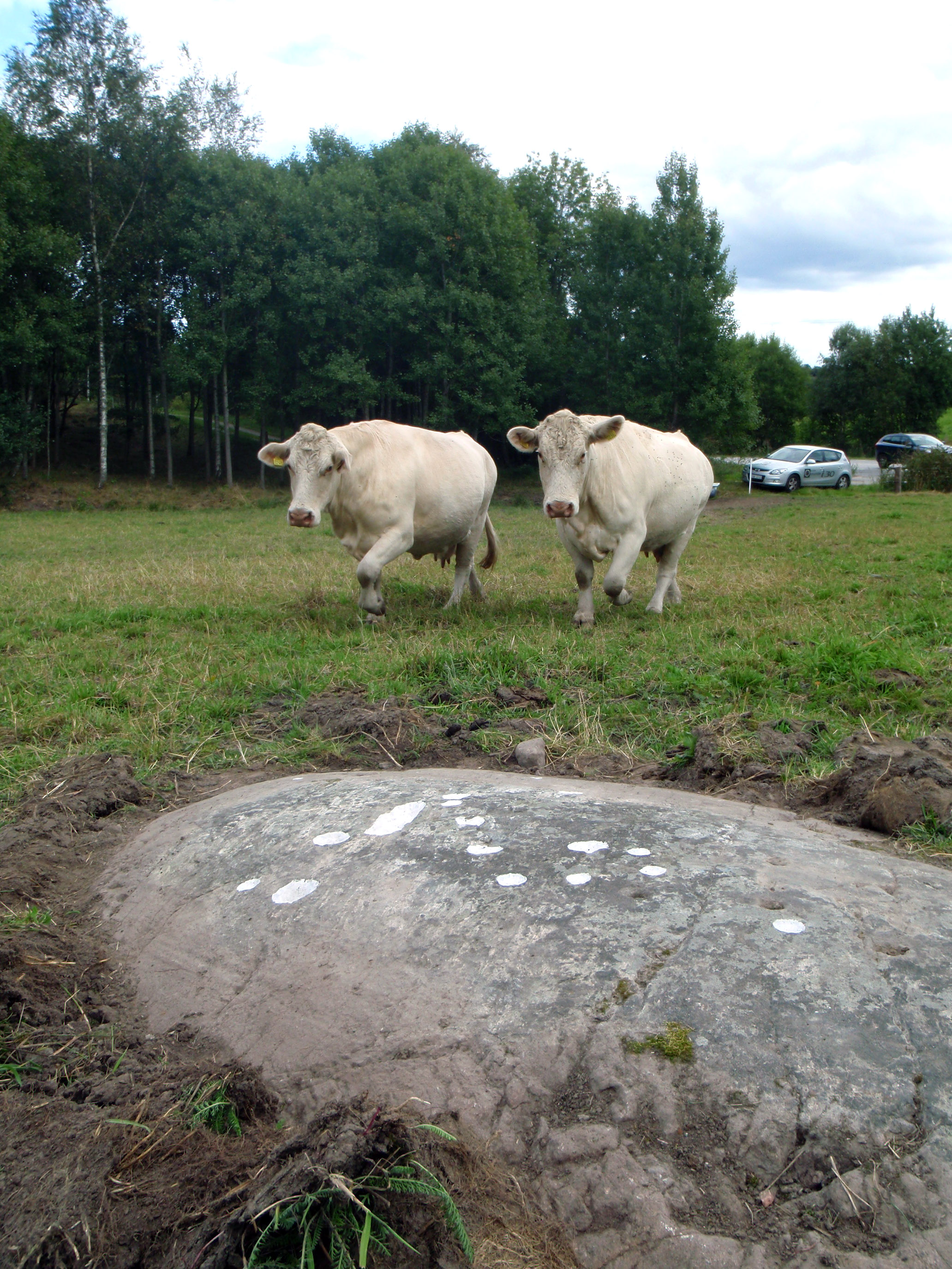 Åker Bokenäs