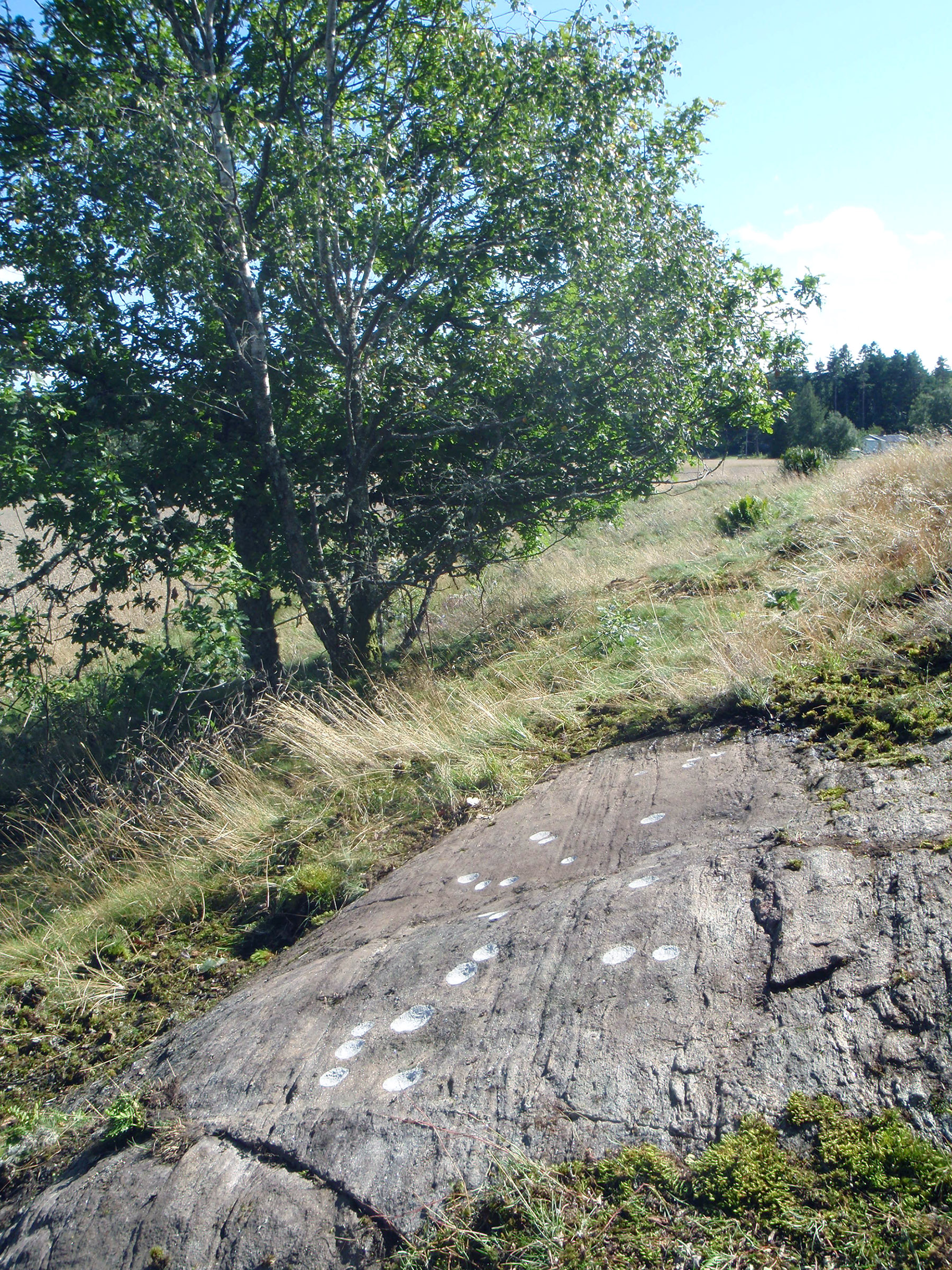 Svepetorp Bokenäs